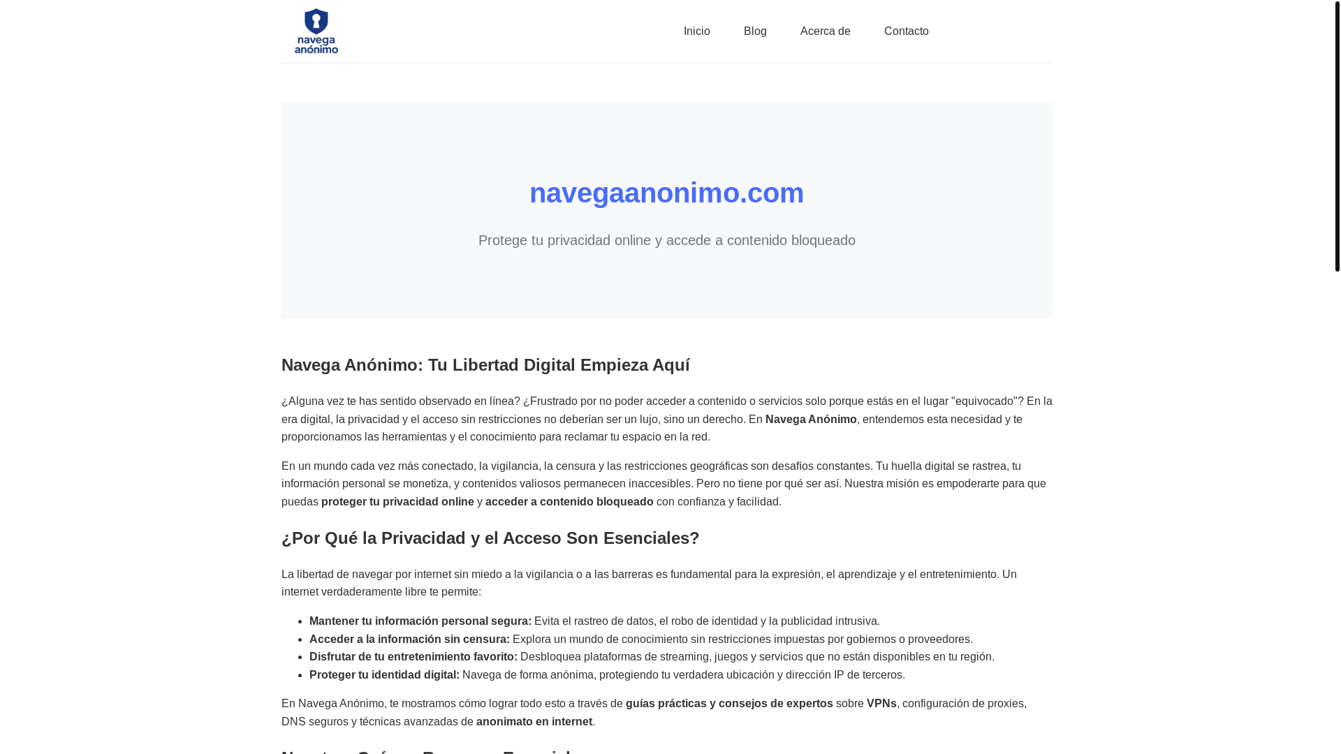 website screenshot of https://navegaanonimo.pages.dev/