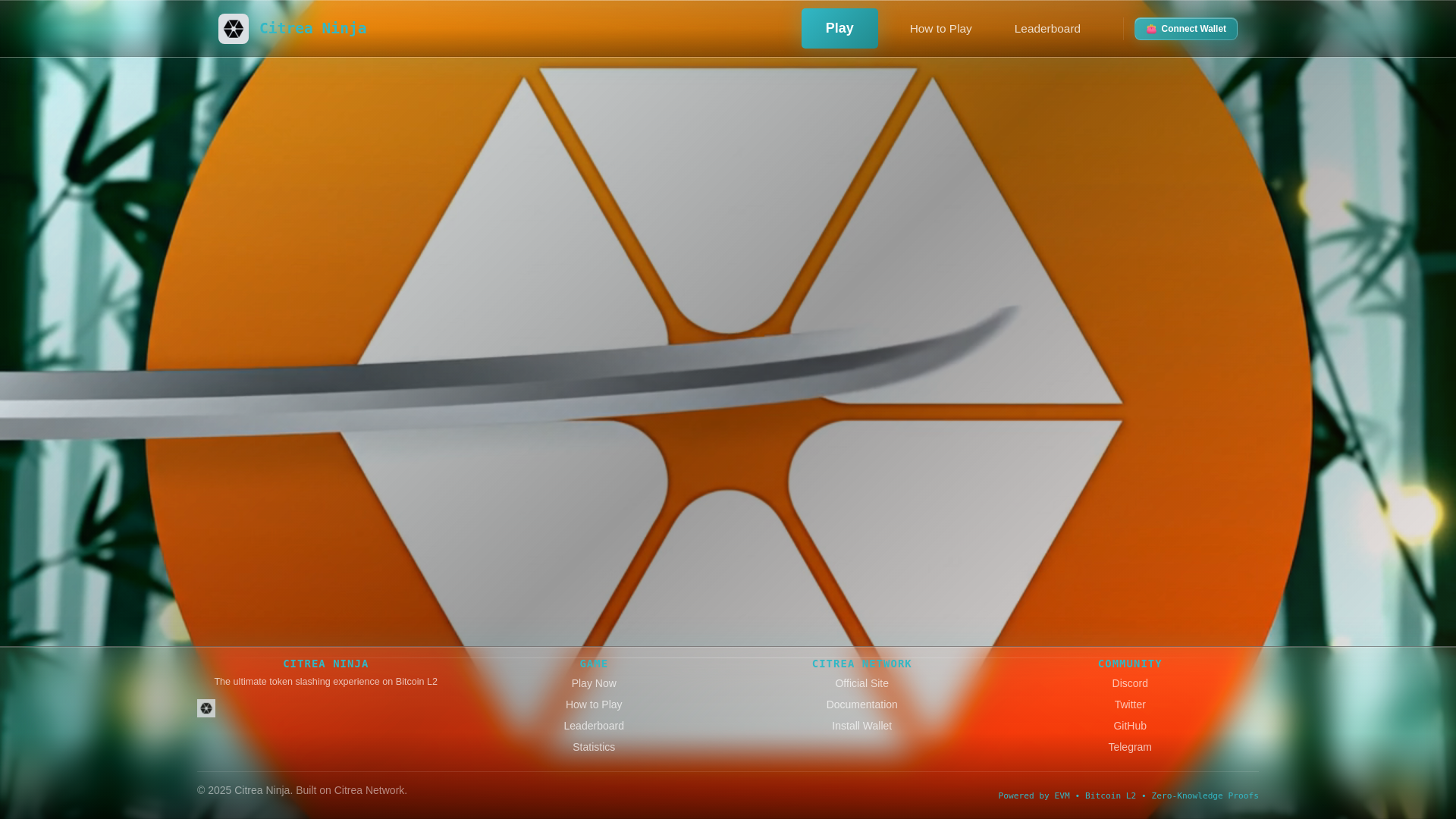 website screenshot of https://c-ninja.vercel.app