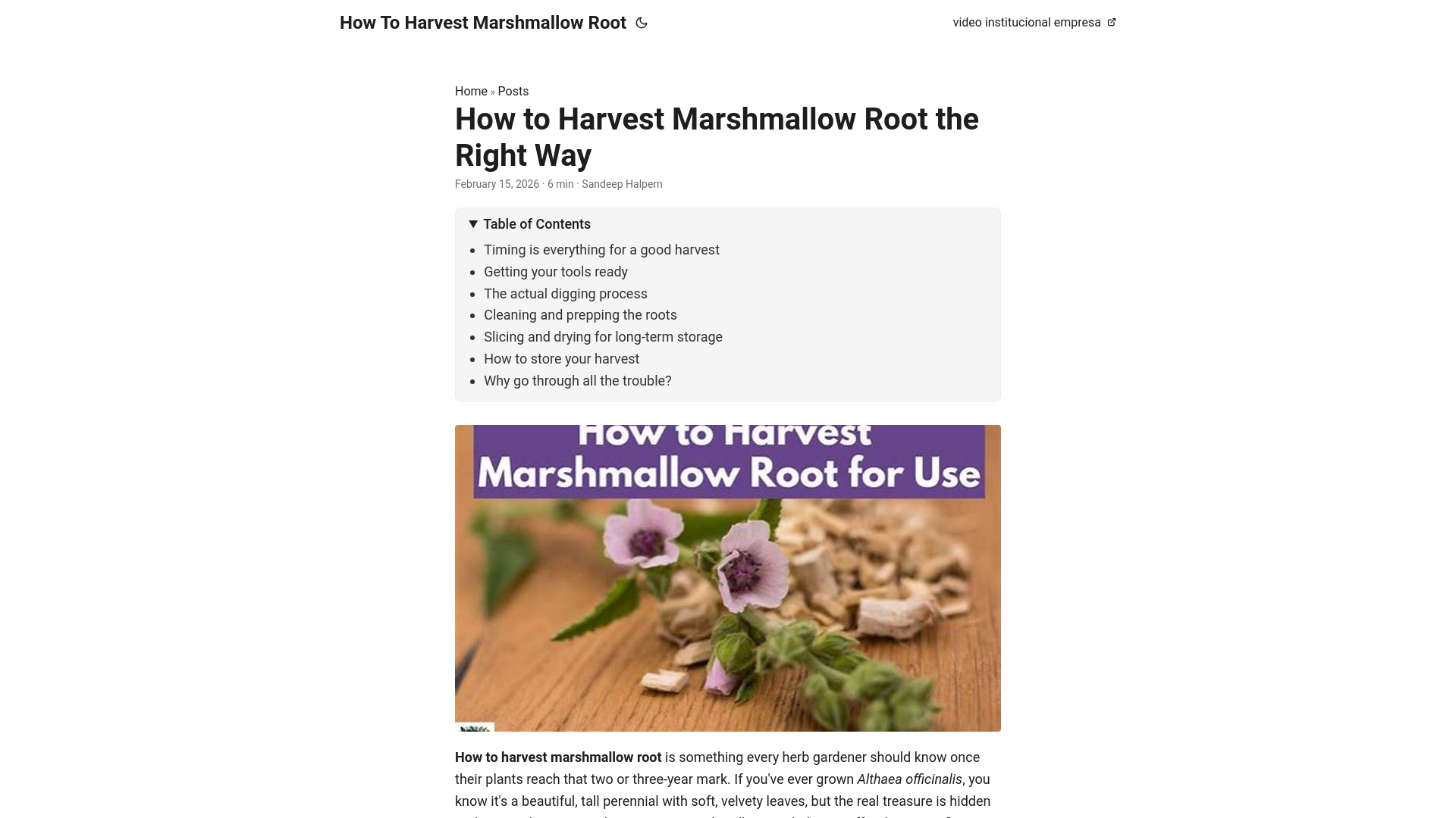 website screenshot of https://how-to-harvest-marshmallow-root.pages.dev/