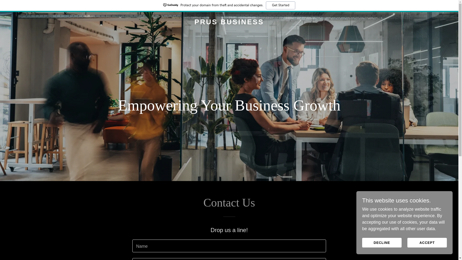 website screenshot of https://prusbusiness.services/