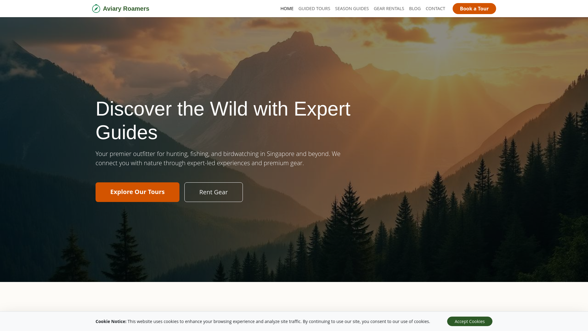 website screenshot of https://gavelerlayer.click