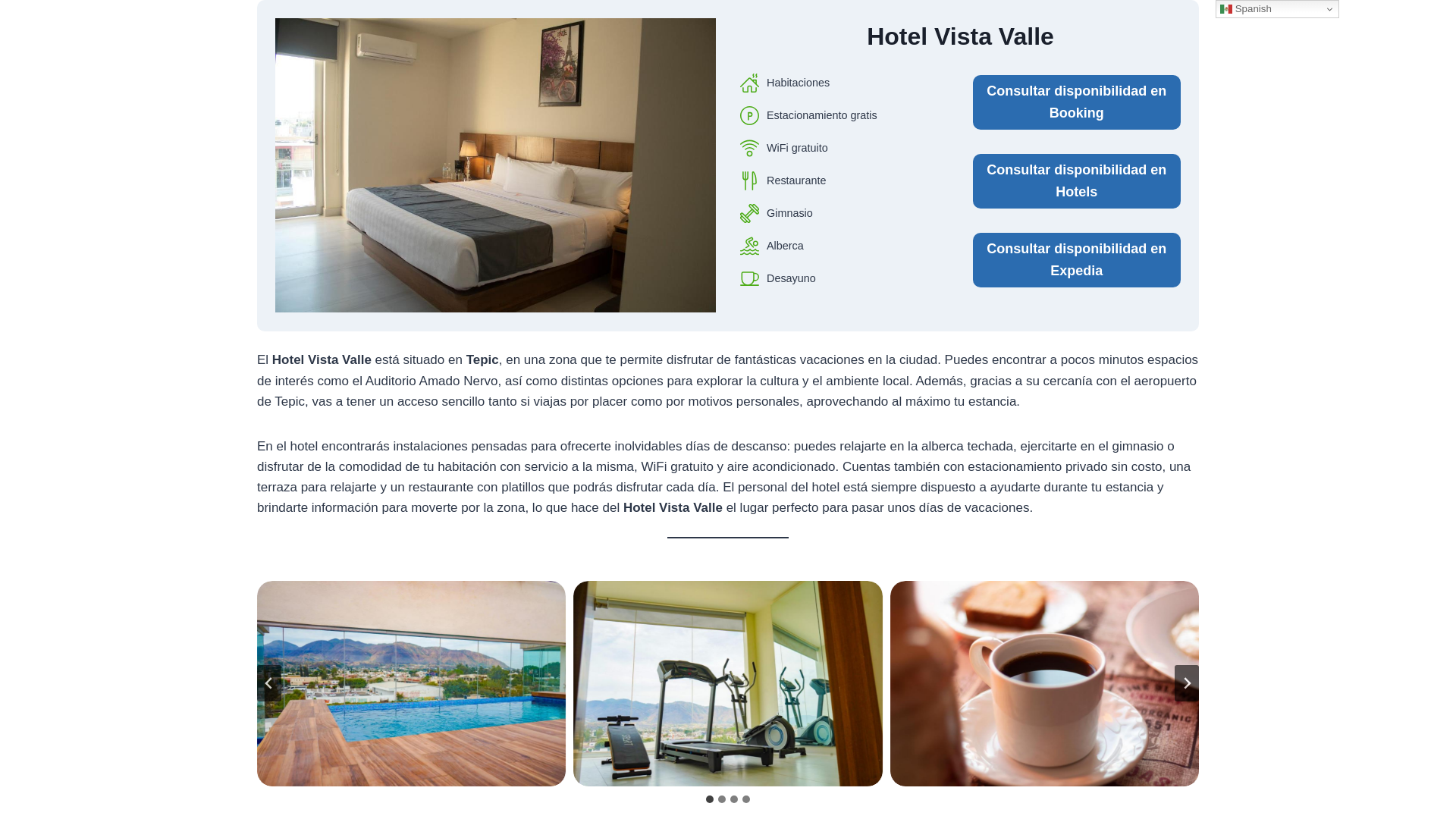 website screenshot of https://hotelvistavalle.top/