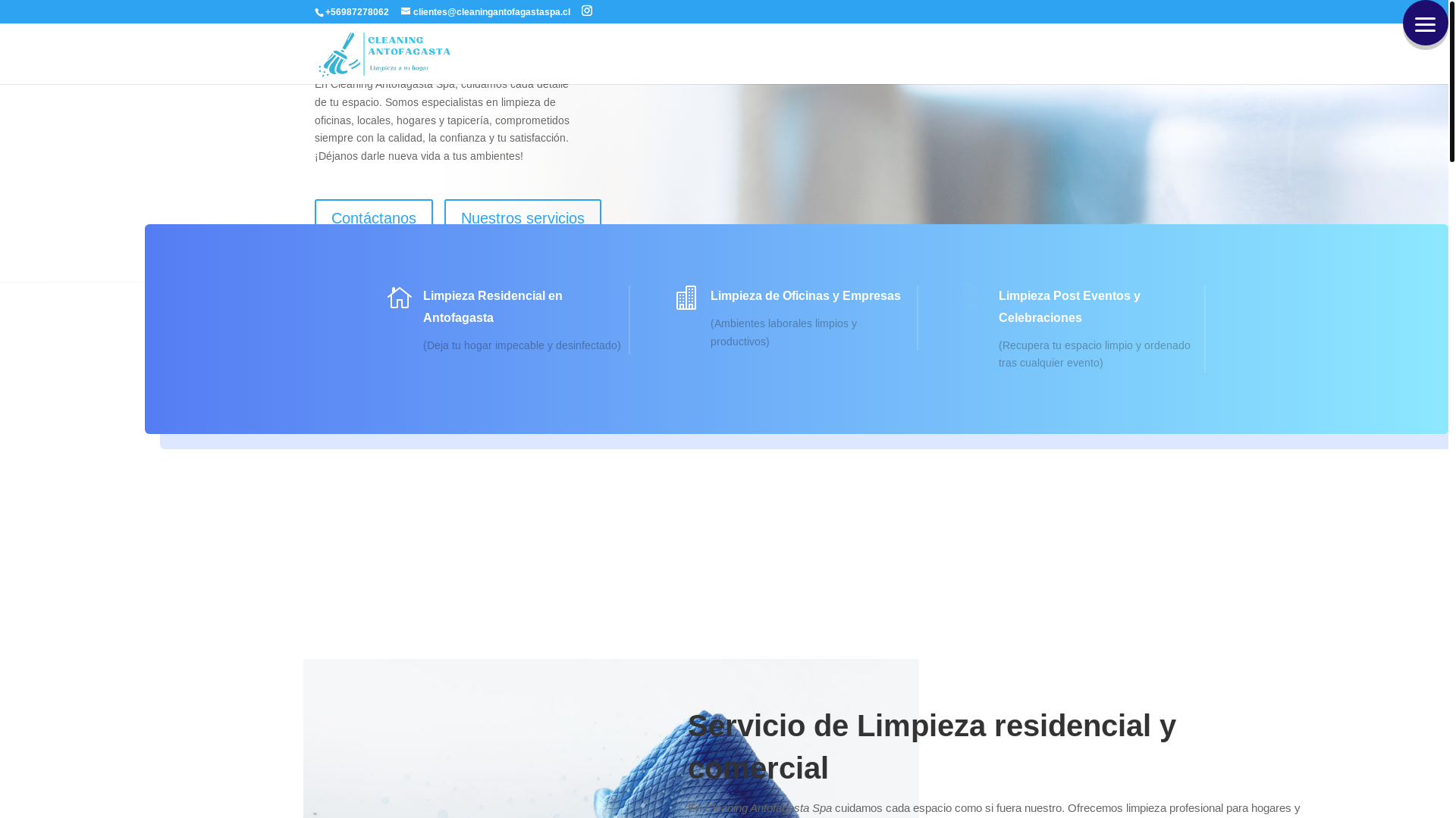 website screenshot of https://cleaningantofagastaspa.cl/