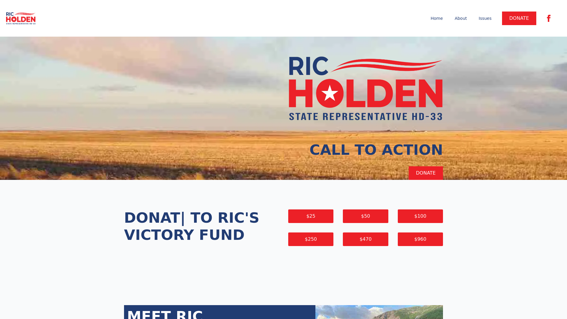 website screenshot of https://ricformontana.com/