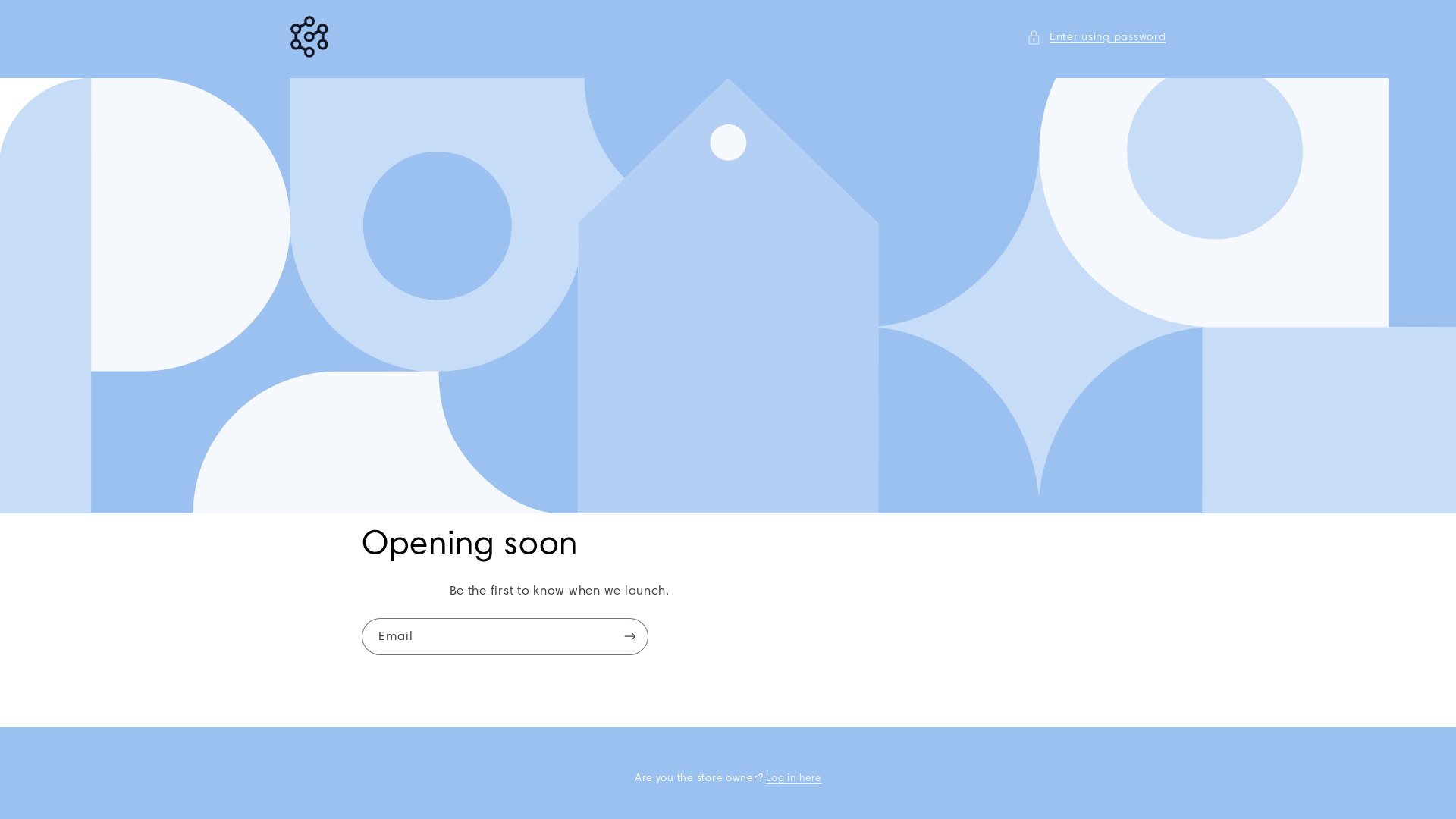 website screenshot of https://steelwats.store/