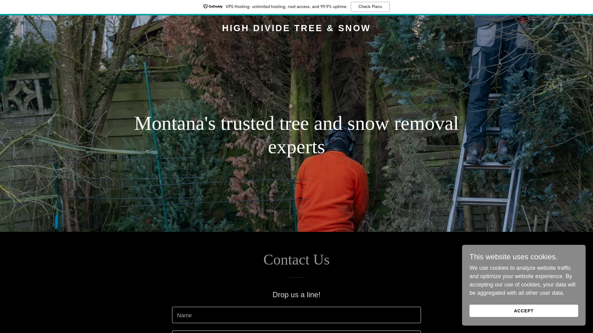 website screenshot of https://highdividetreeandsnow.com/