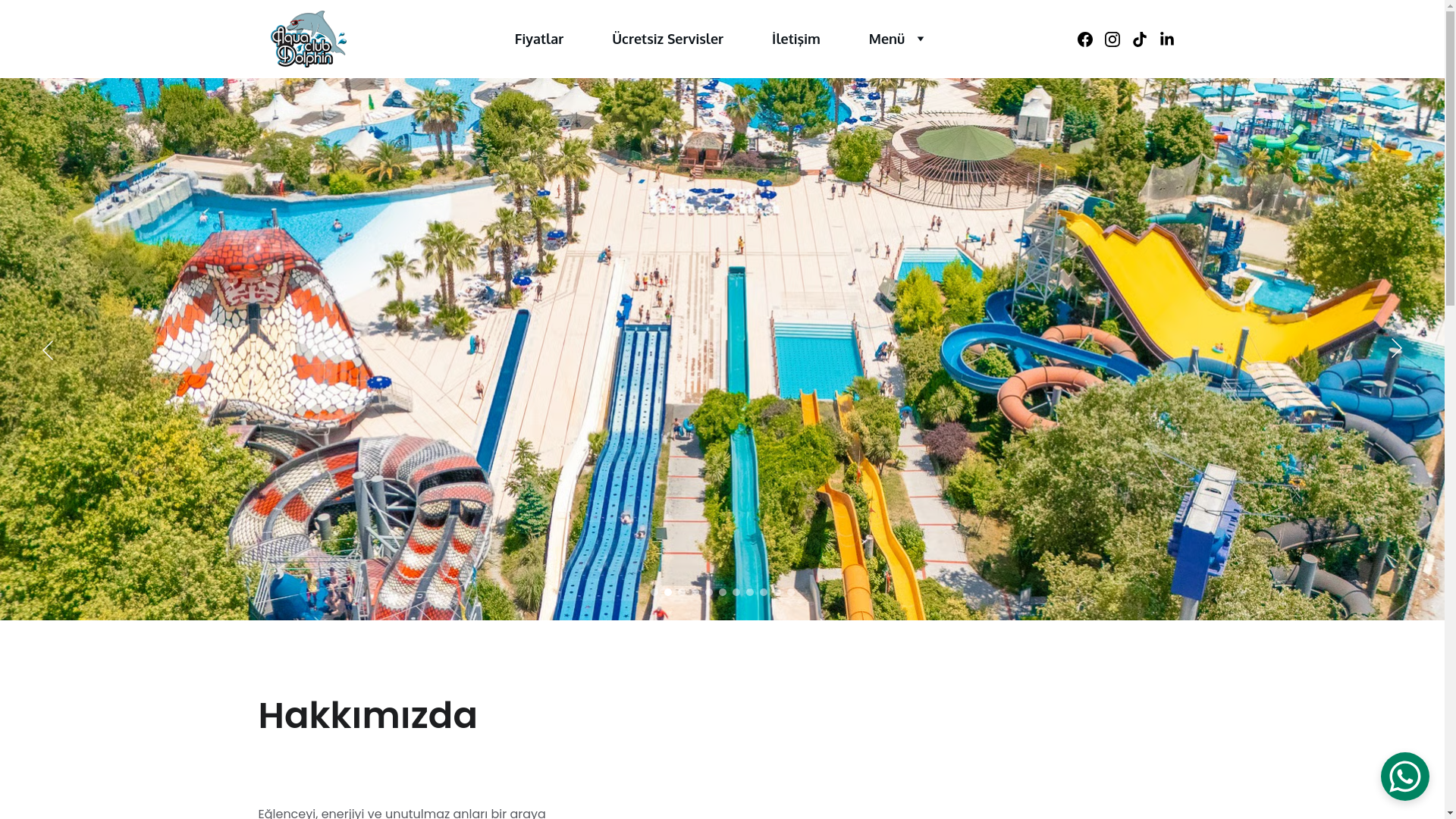 website screenshot of https://aquadolphinpark.com/