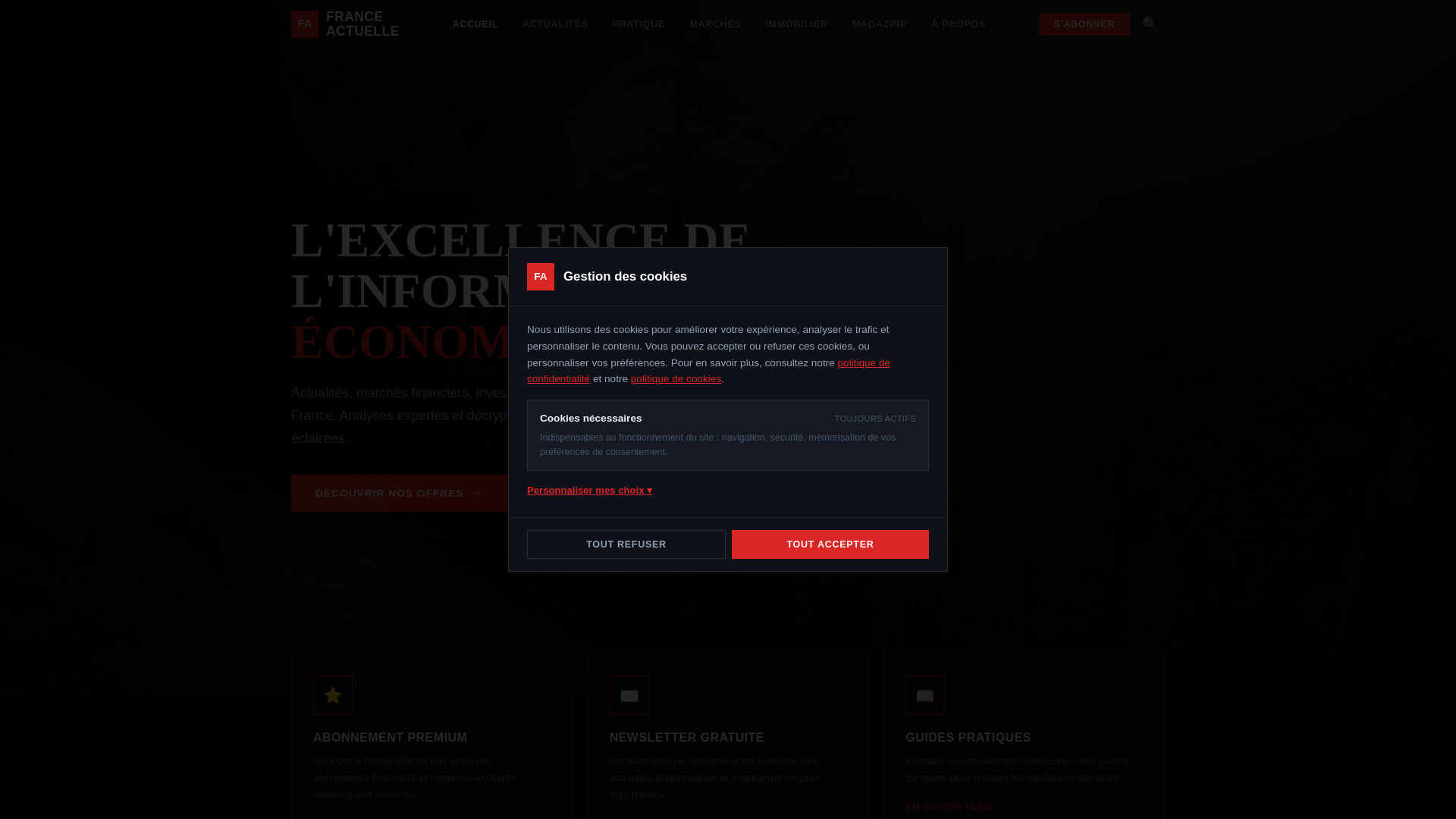 website screenshot of https://pressfrance.pro