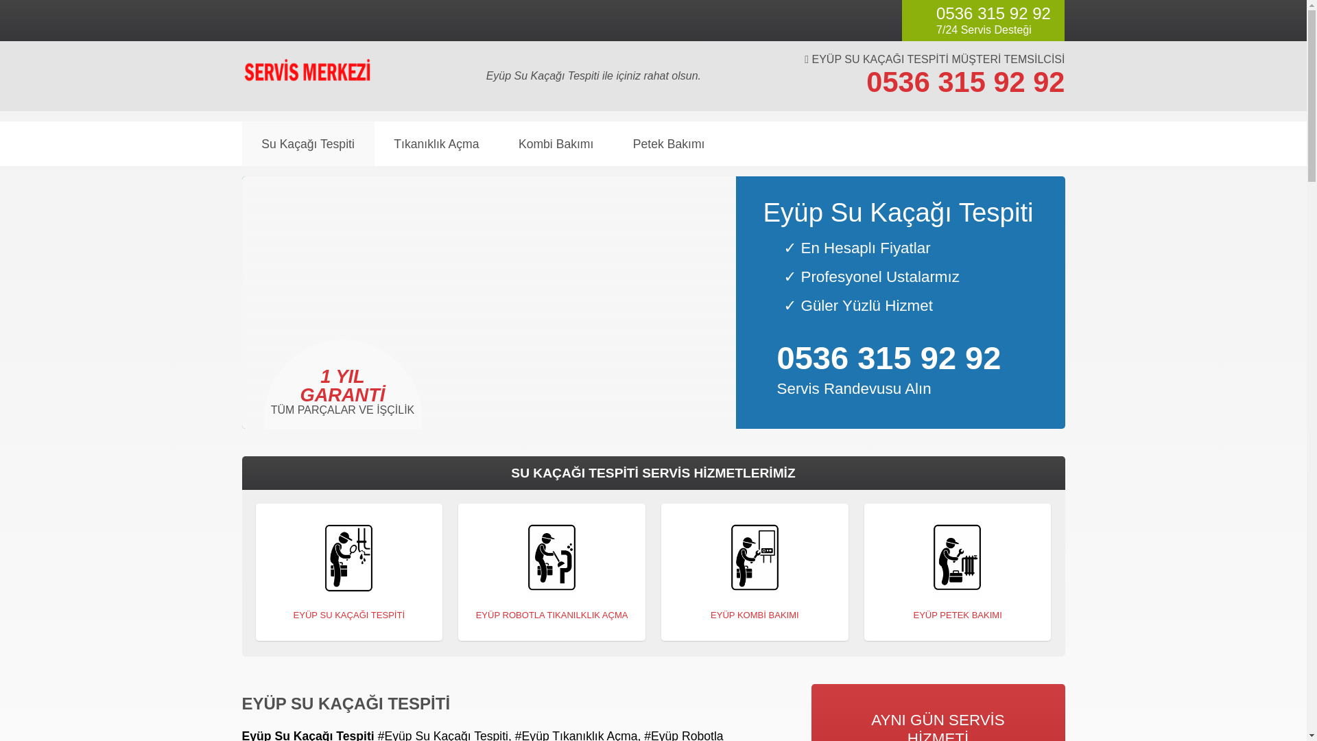 website screenshot of https://eyupsukacagitespiti.com.tr/