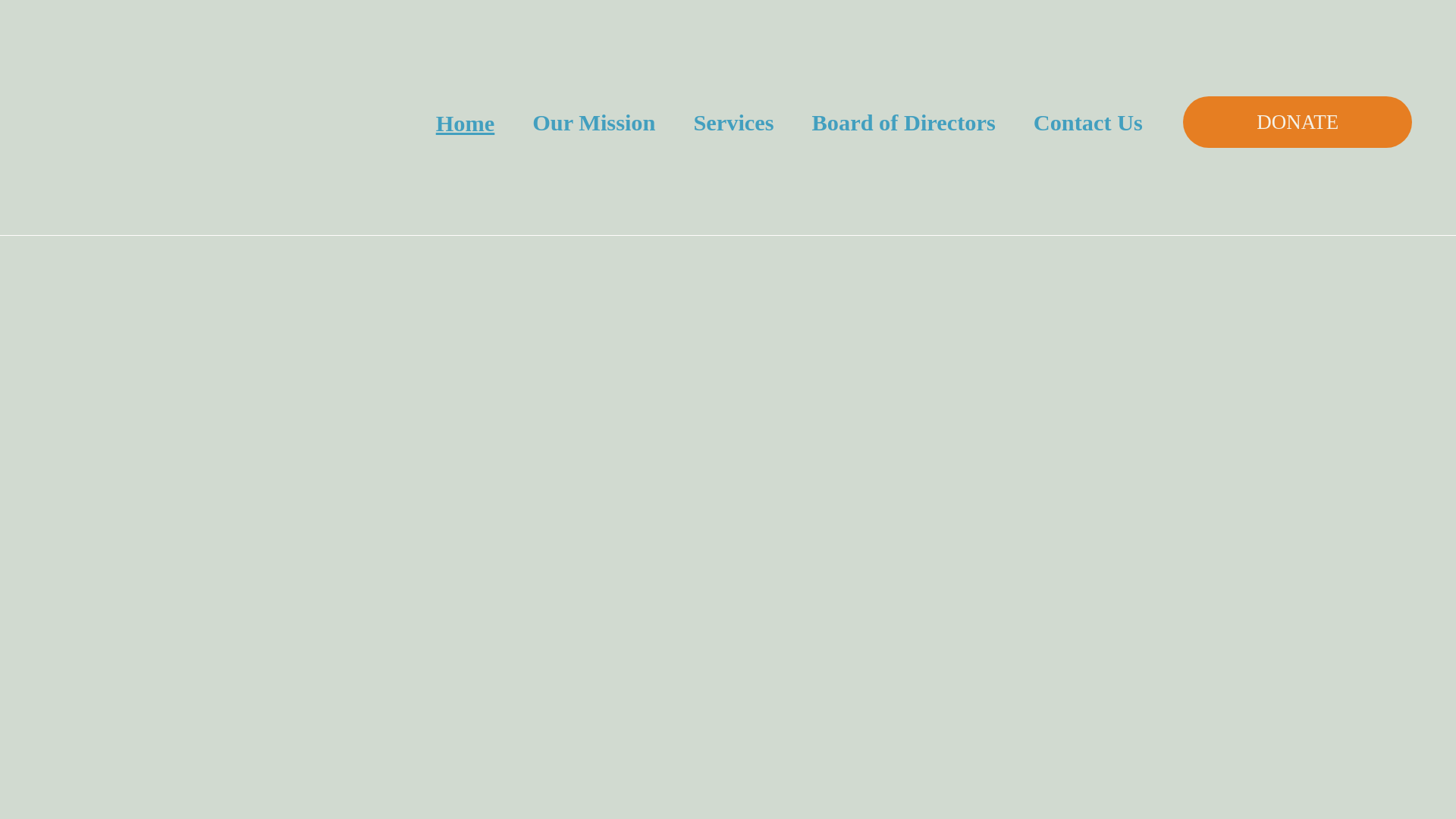website screenshot of https://firstmonthfoundation.org/