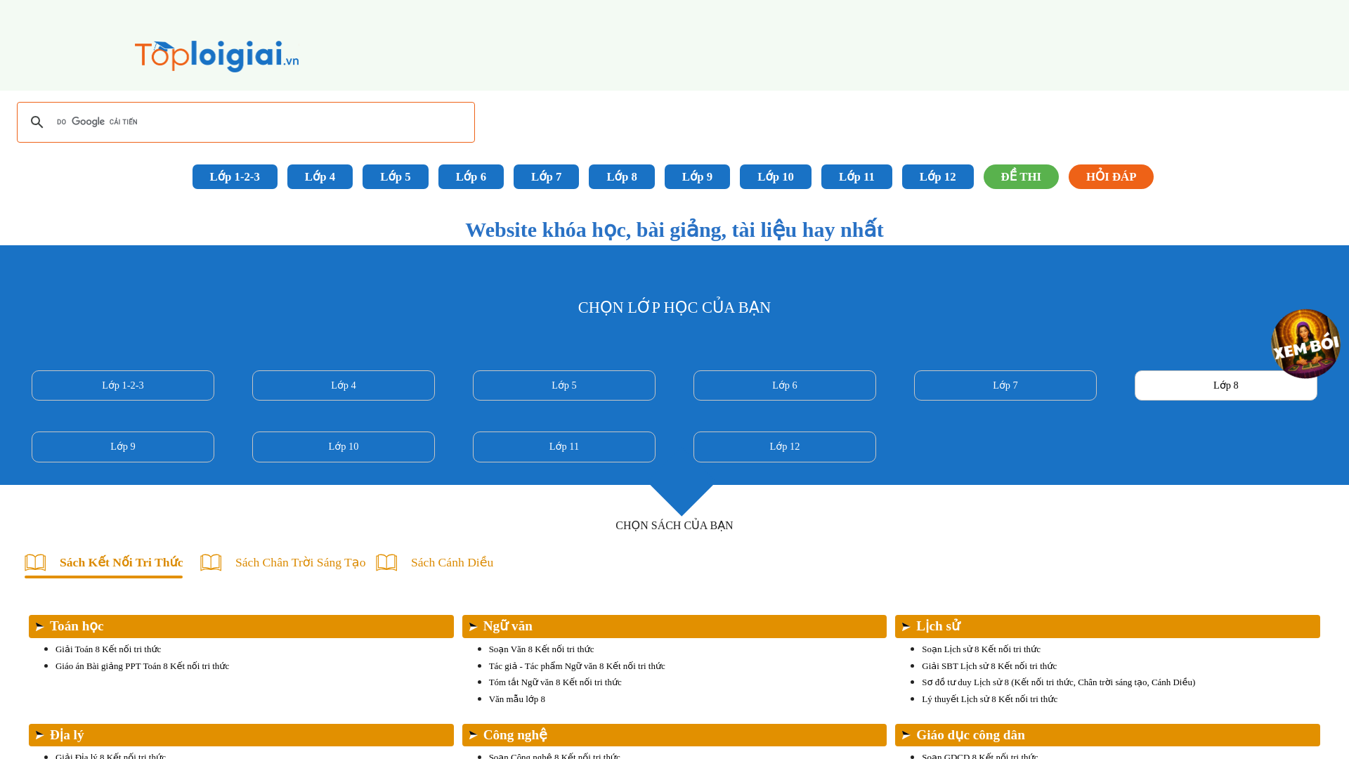 website screenshot of https://toploigiai.vn