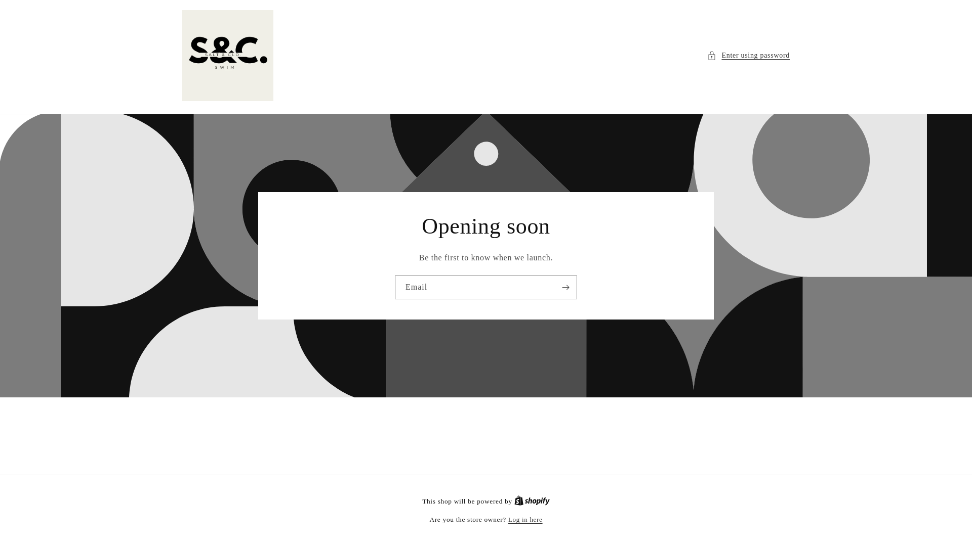 website screenshot of https://saltandclo.com/