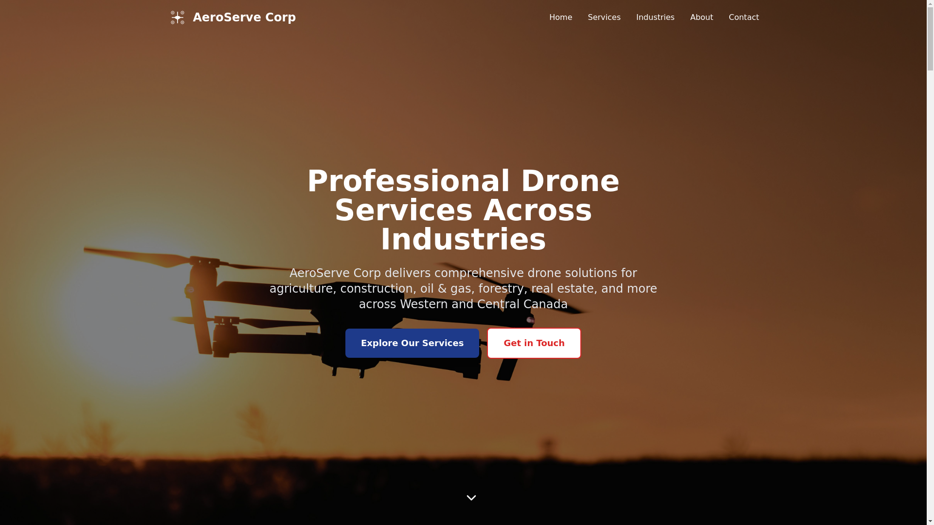 website screenshot of https://aeroserve.pro/