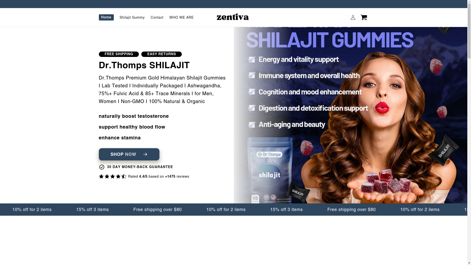 website screenshot of https://zentiva.top/