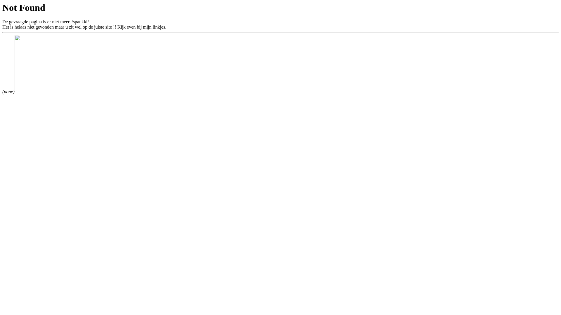 website screenshot of https://tsnh.nl/spankki/