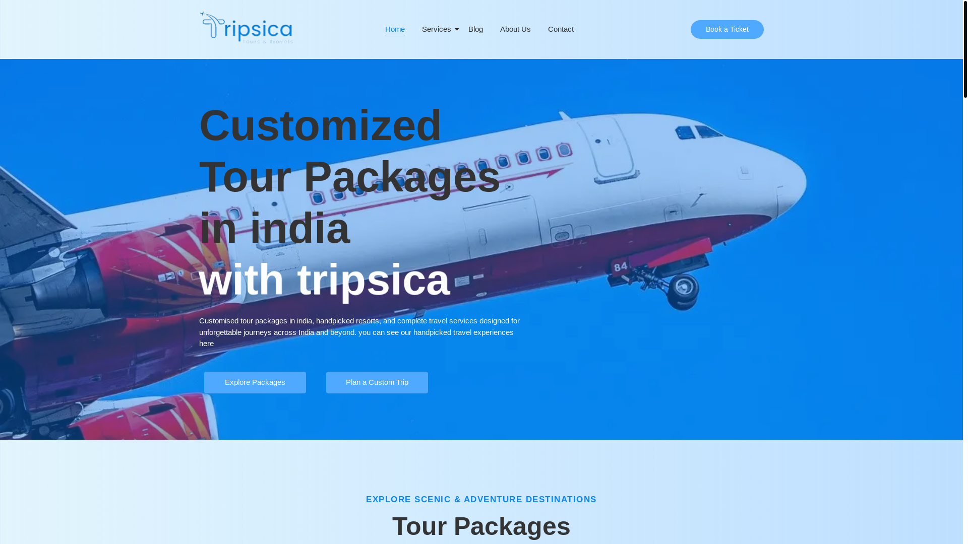 website screenshot of https://tripsicatours.online/