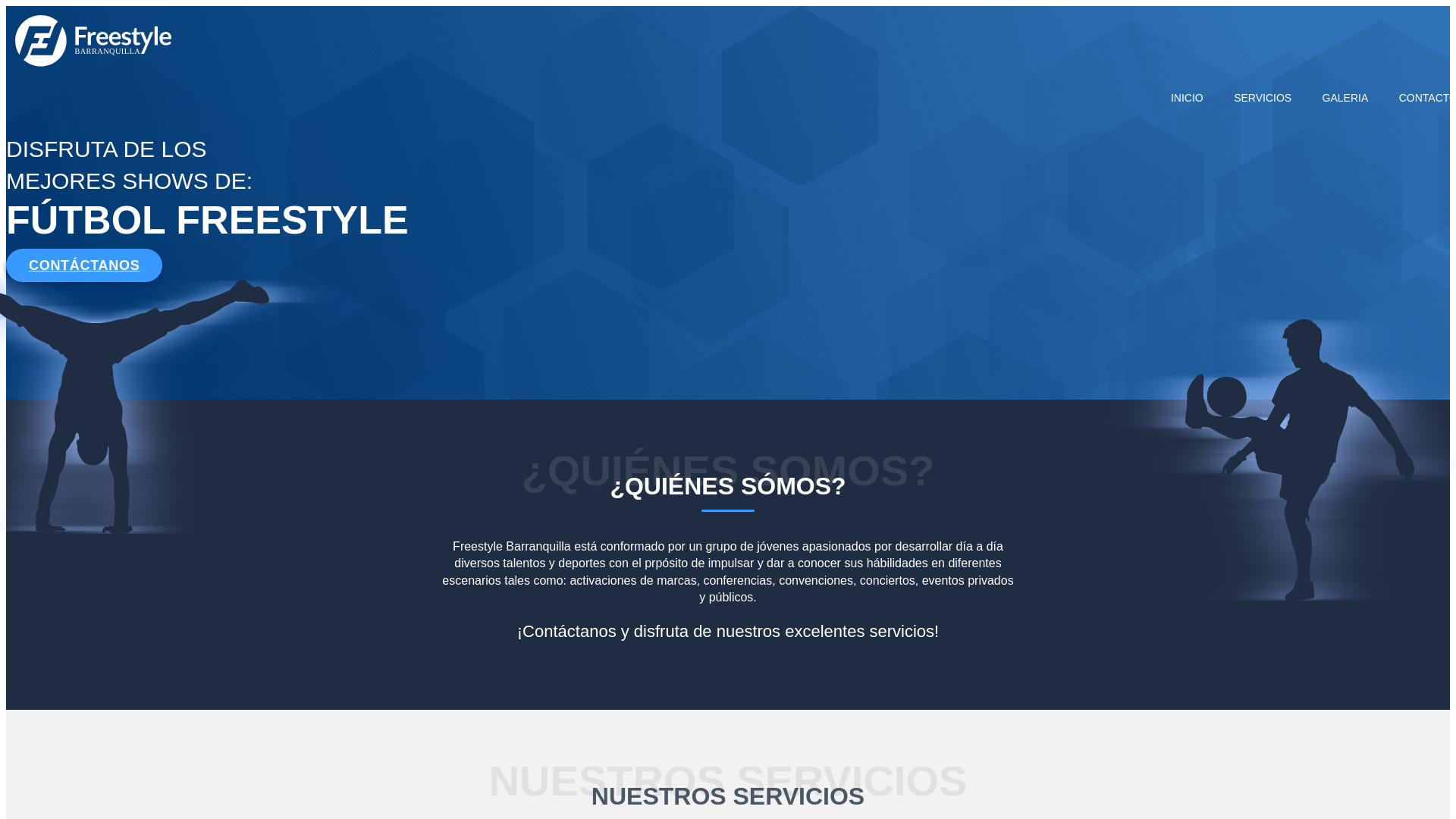 website screenshot of https://freestylebq.site