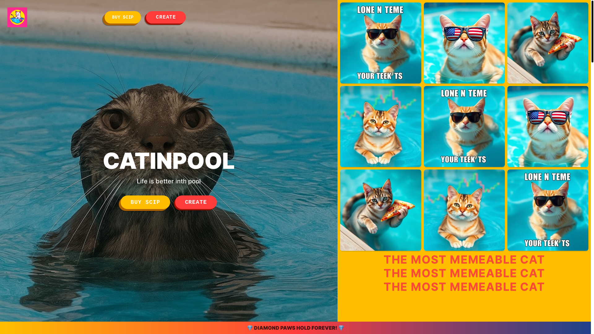 website screenshot of https://catinpool.xyz/