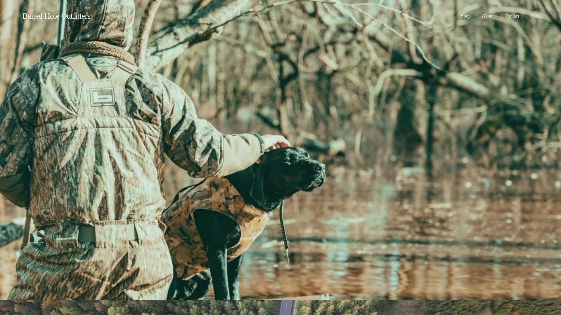 website screenshot of https://baitedholeoutfitters.com/