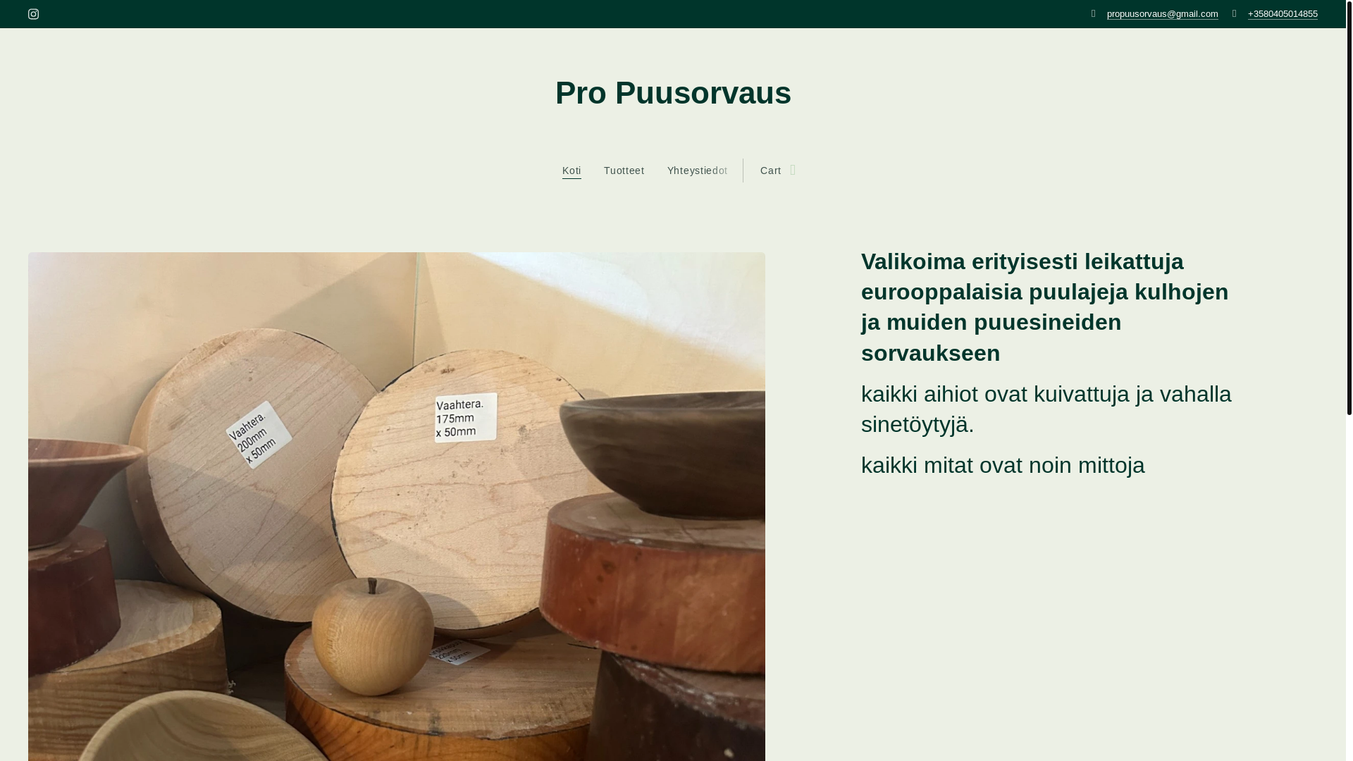 website screenshot of https://propuusorvaus.com/