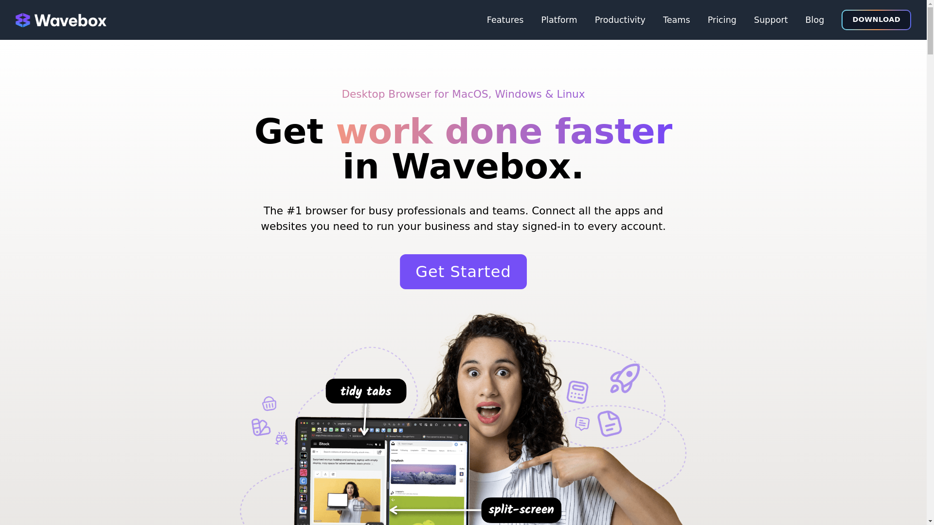 website screenshot of https://waveboxfan.com/