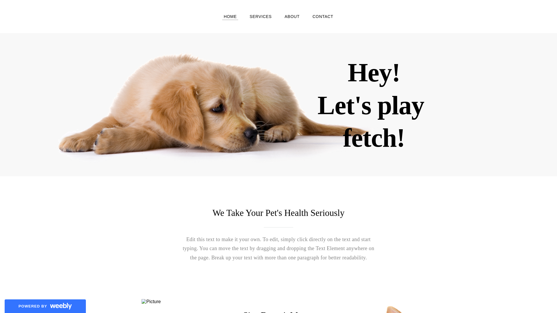 website screenshot of https://portaldtrdigital26exclu.weebly.com