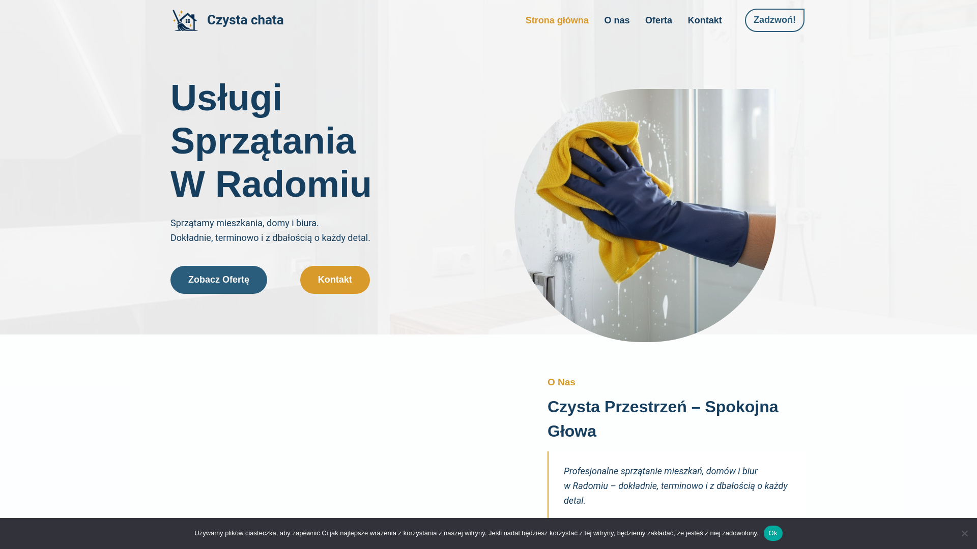 website screenshot of https://czystachata.radom.pl/