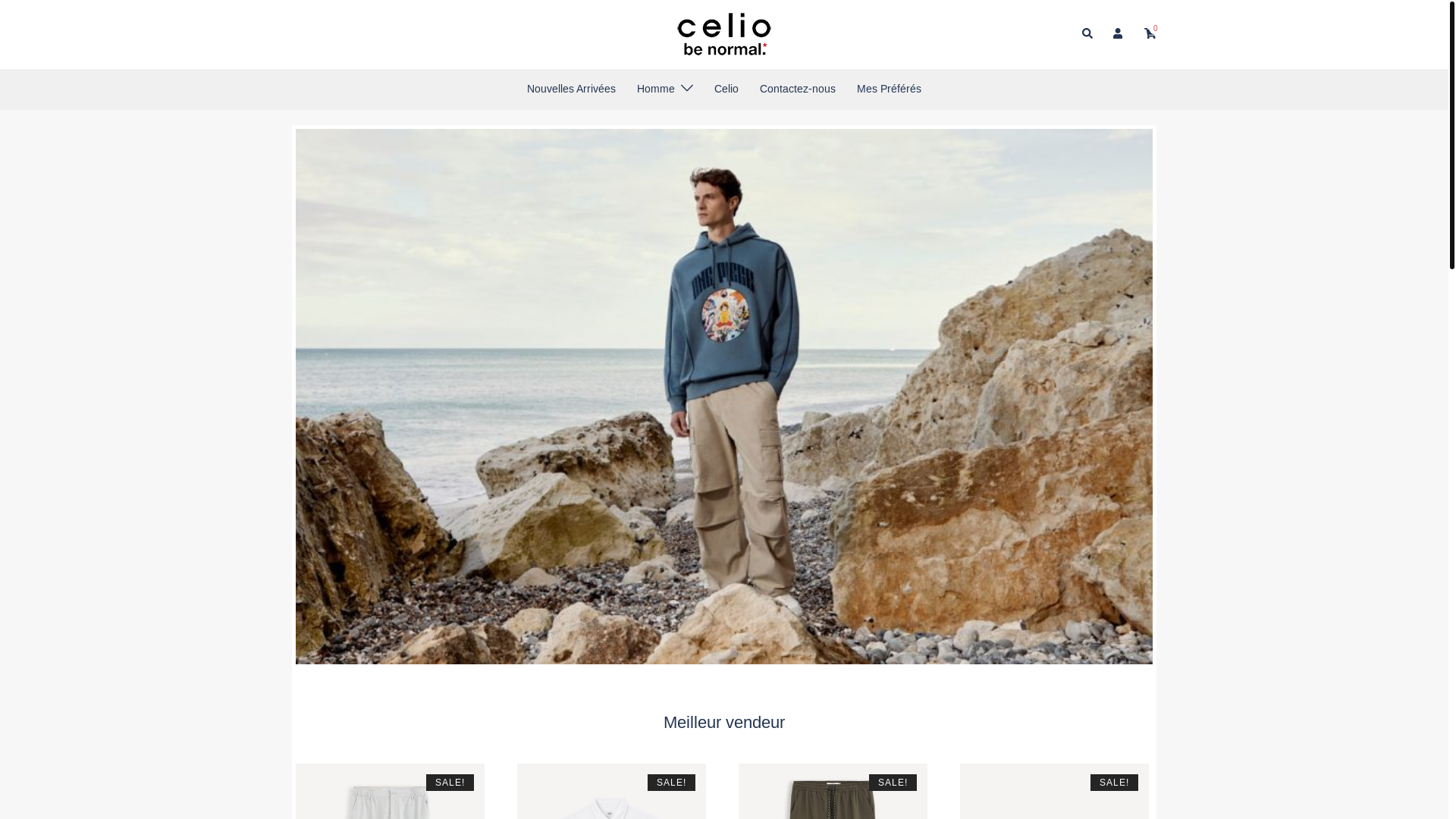 website screenshot of https://lorneschachter.shop/