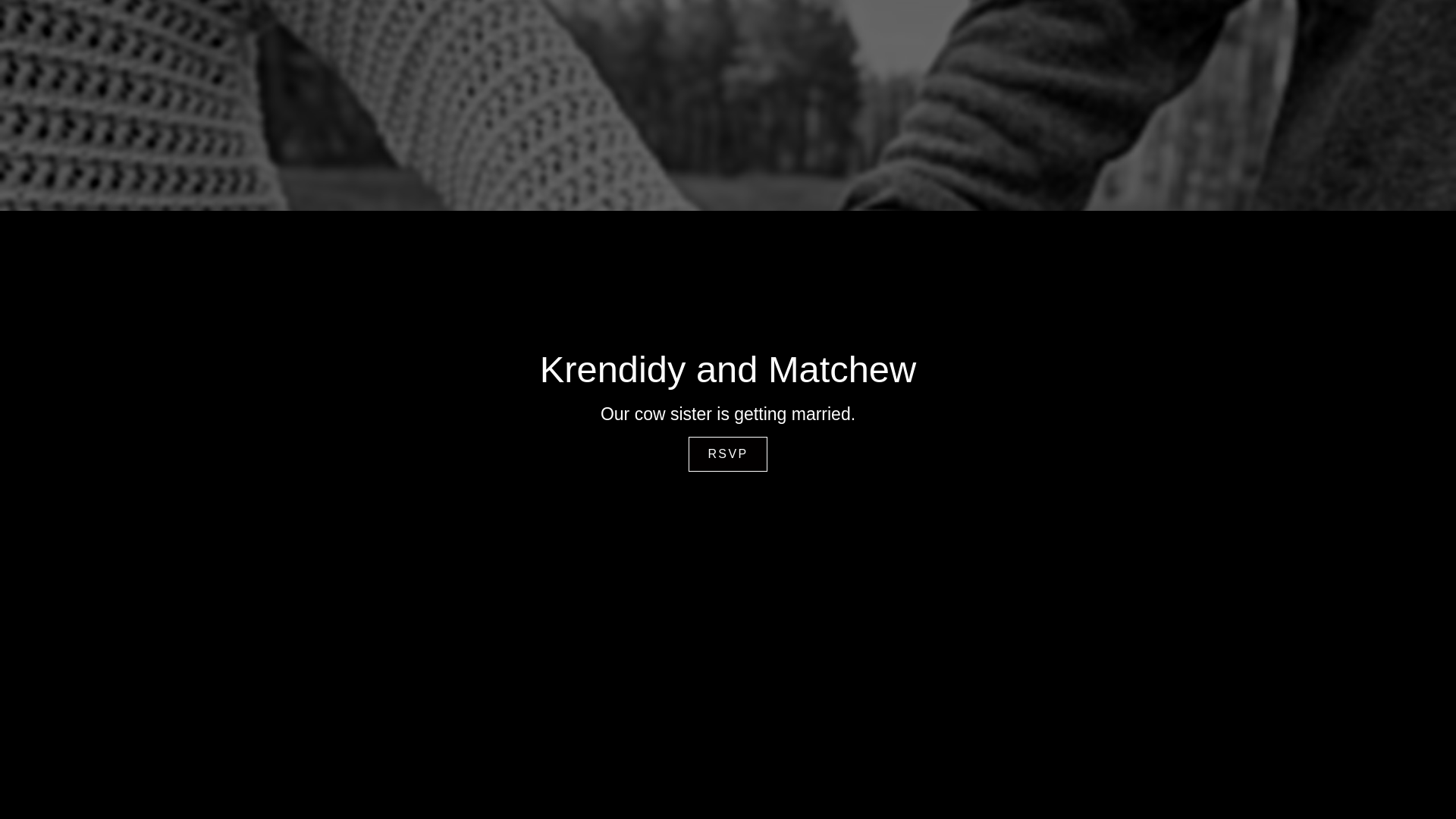 website screenshot of https://vincentvow.com/