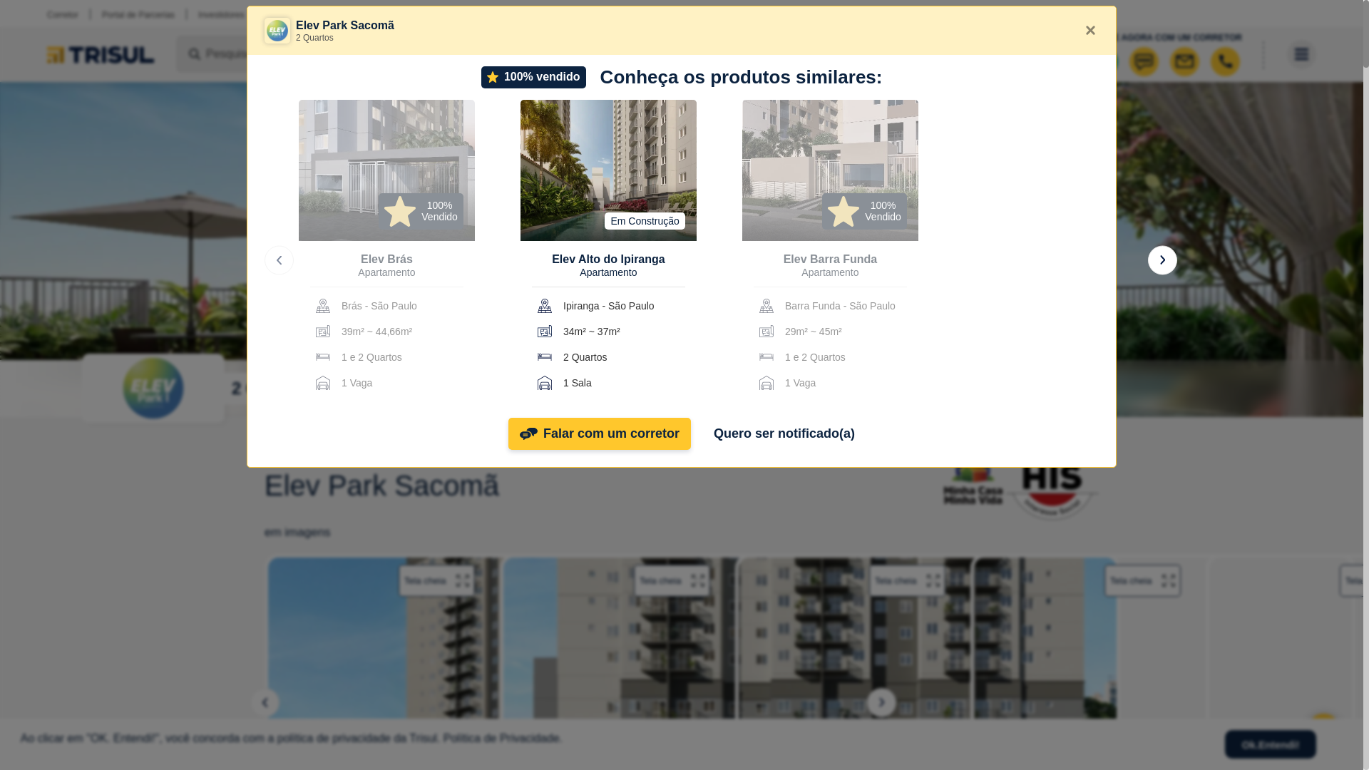 website screenshot of https://elevtrisulparkdois.com.br/