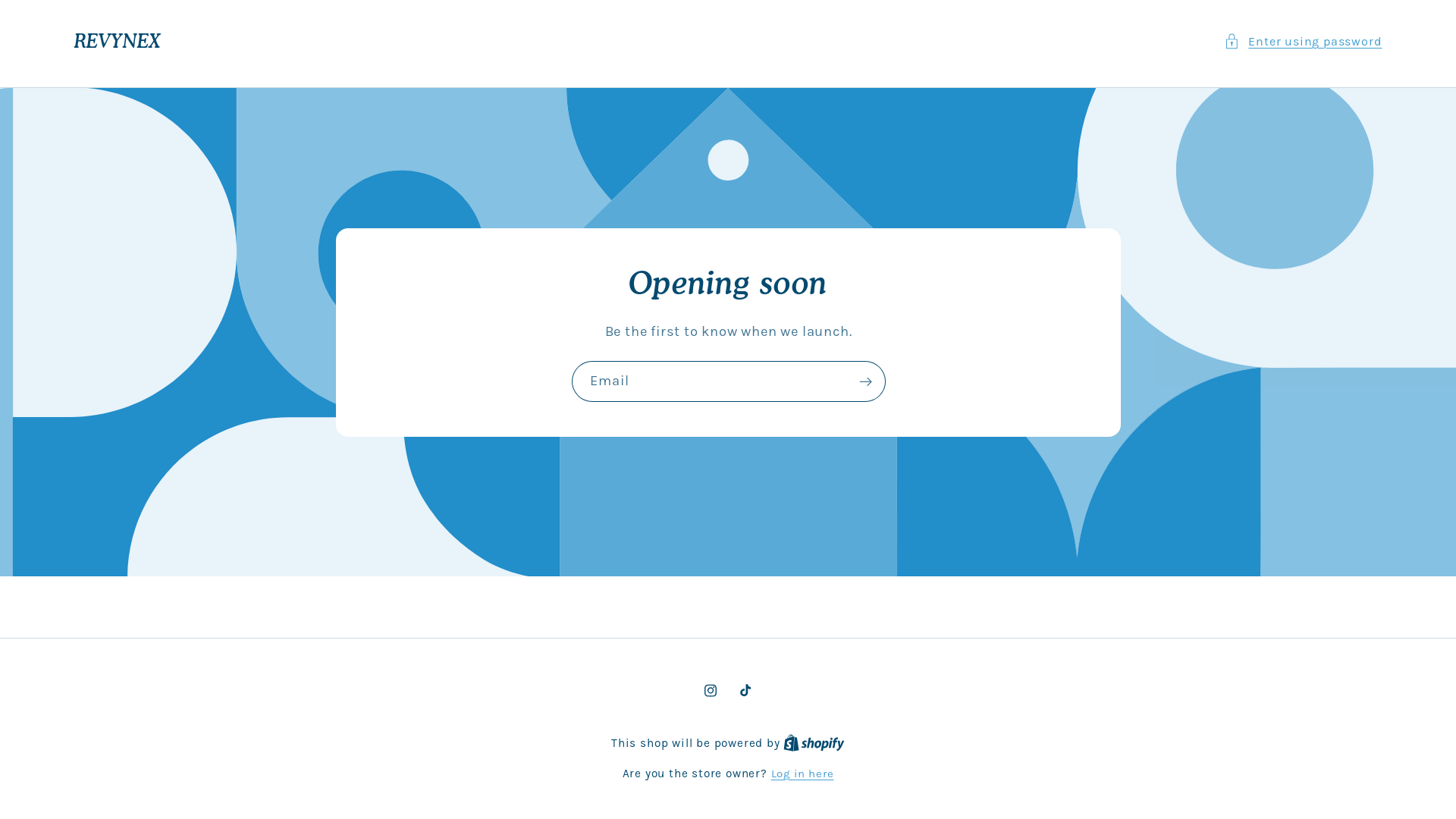 website screenshot of https://revynex.store/