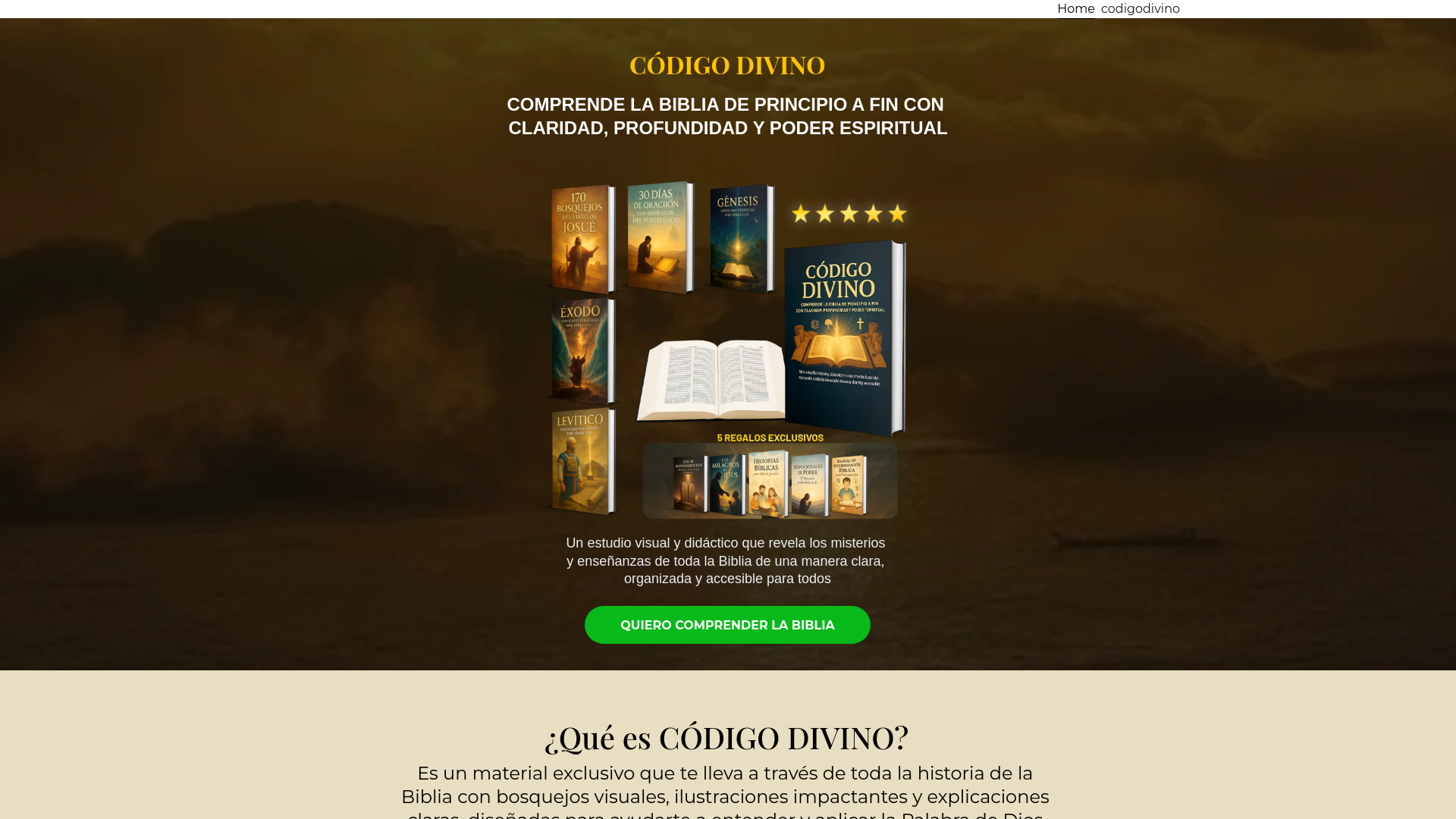 website screenshot of https://fbstorerio.com/