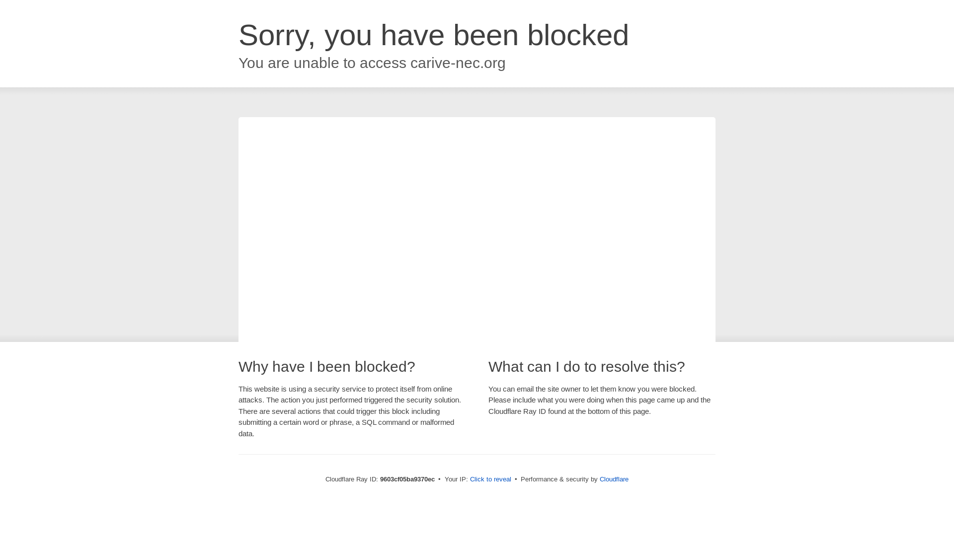 website screenshot of https://carive-nec.org/