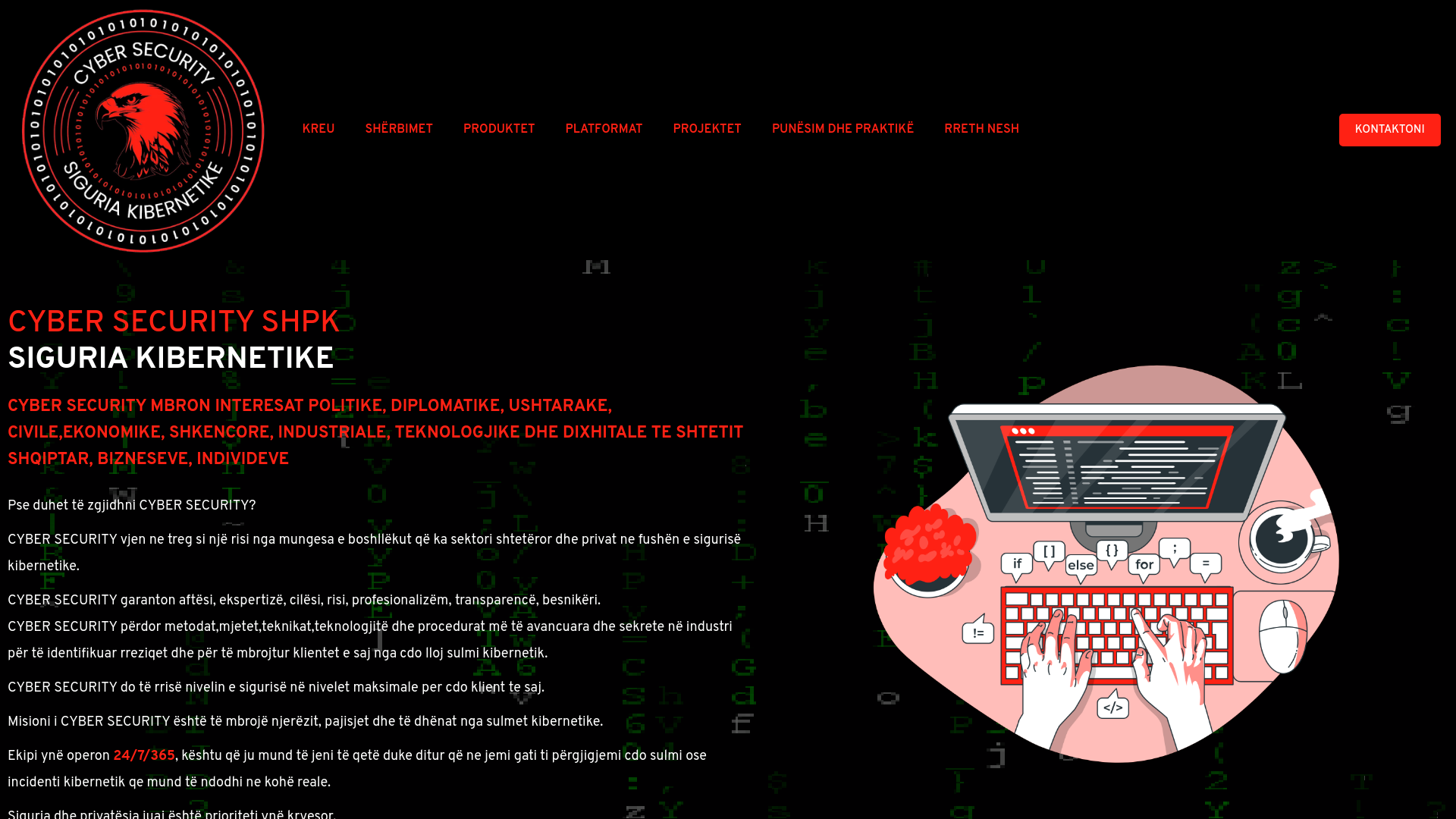 website screenshot of https://cybersecurity.al