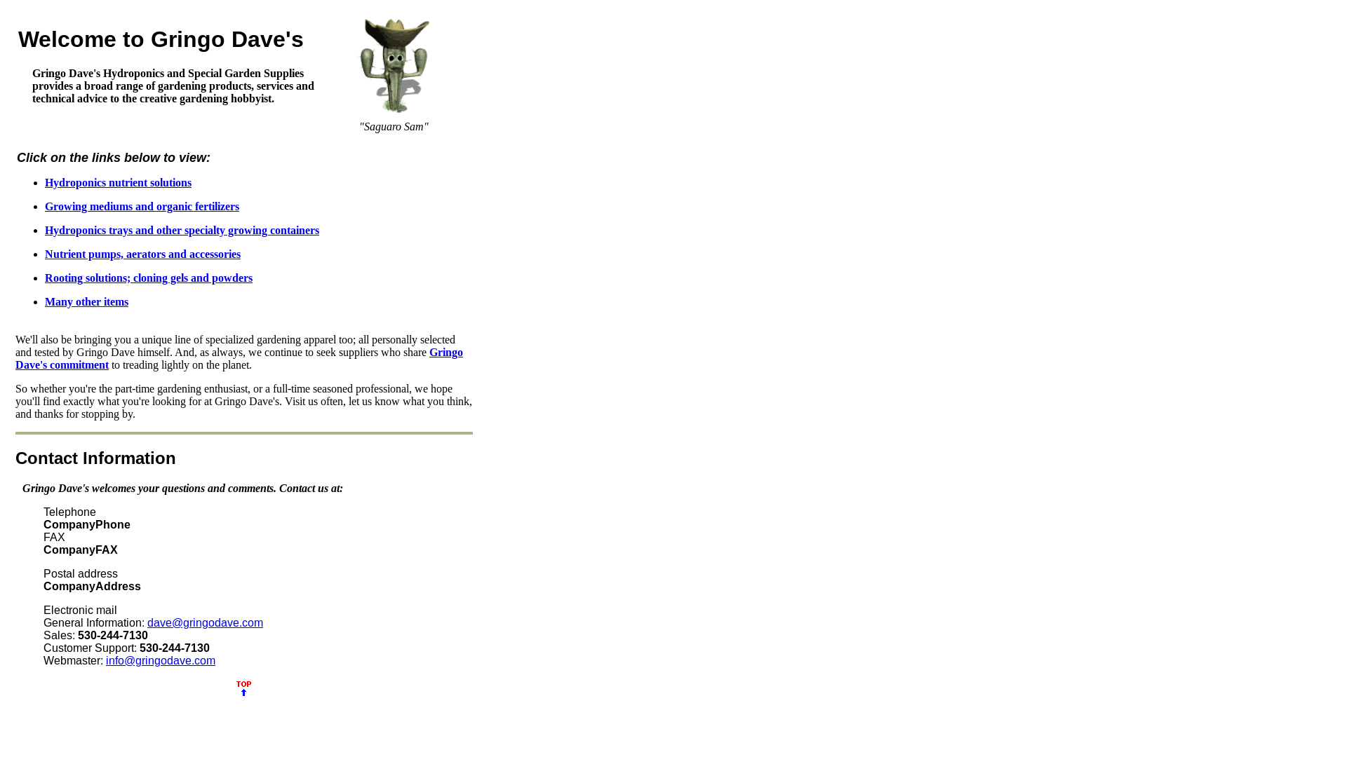 website screenshot of https://gringodave.pages.dev/