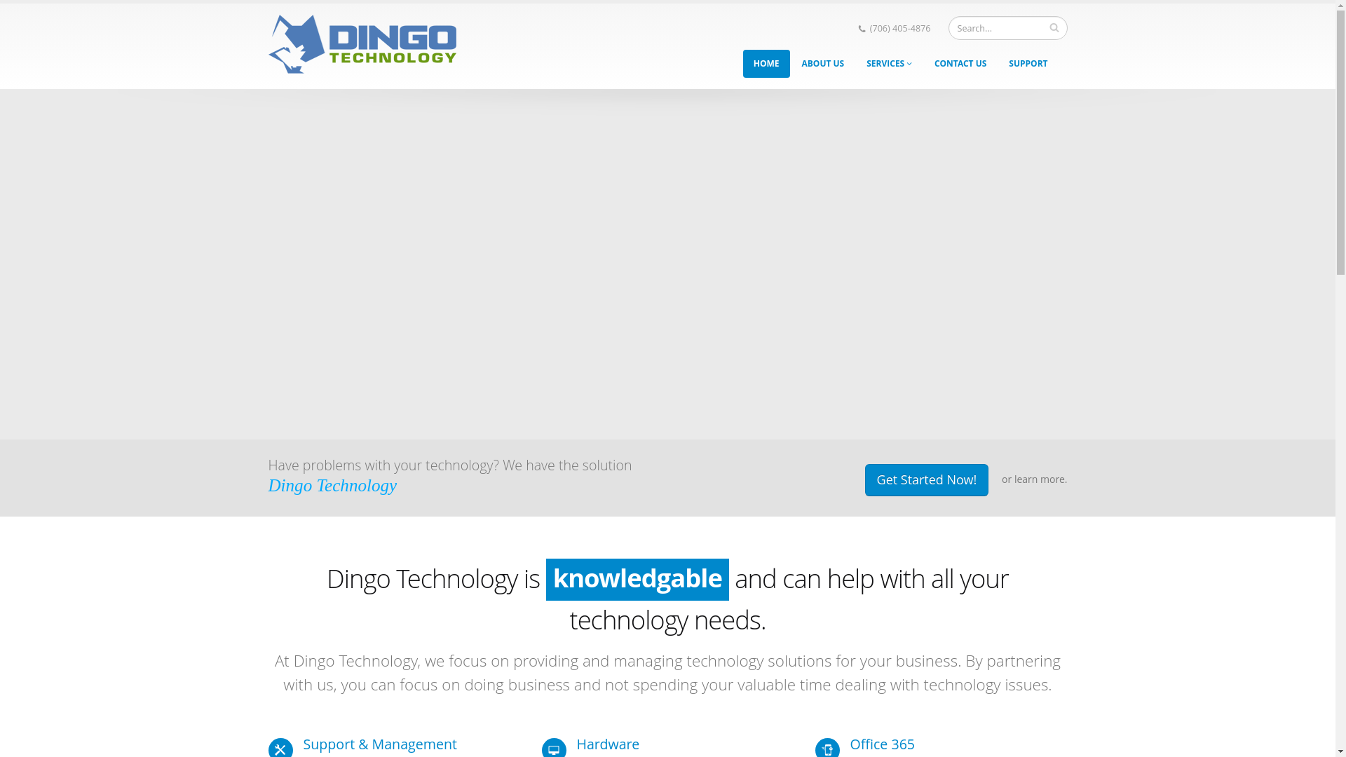 website screenshot of https://dingotechnologywebsite.pages.dev/