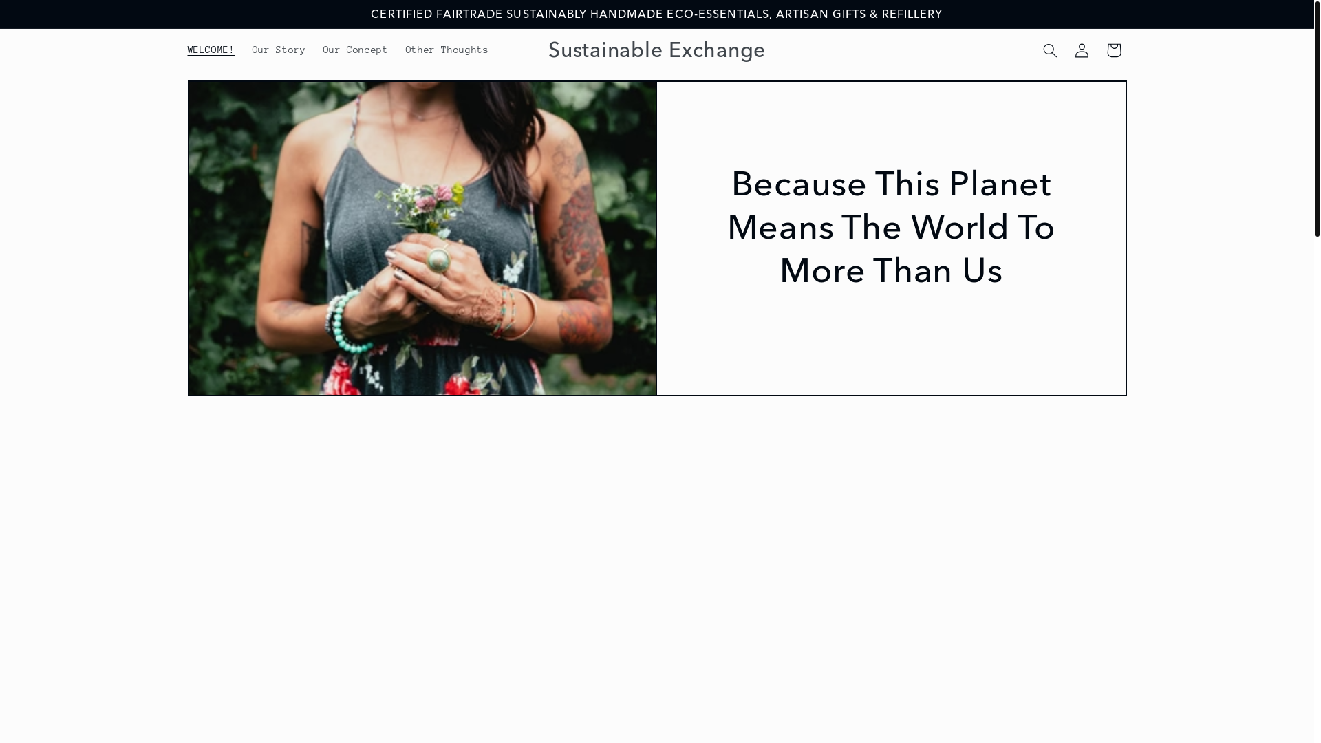website screenshot of https://soapnuts.store/