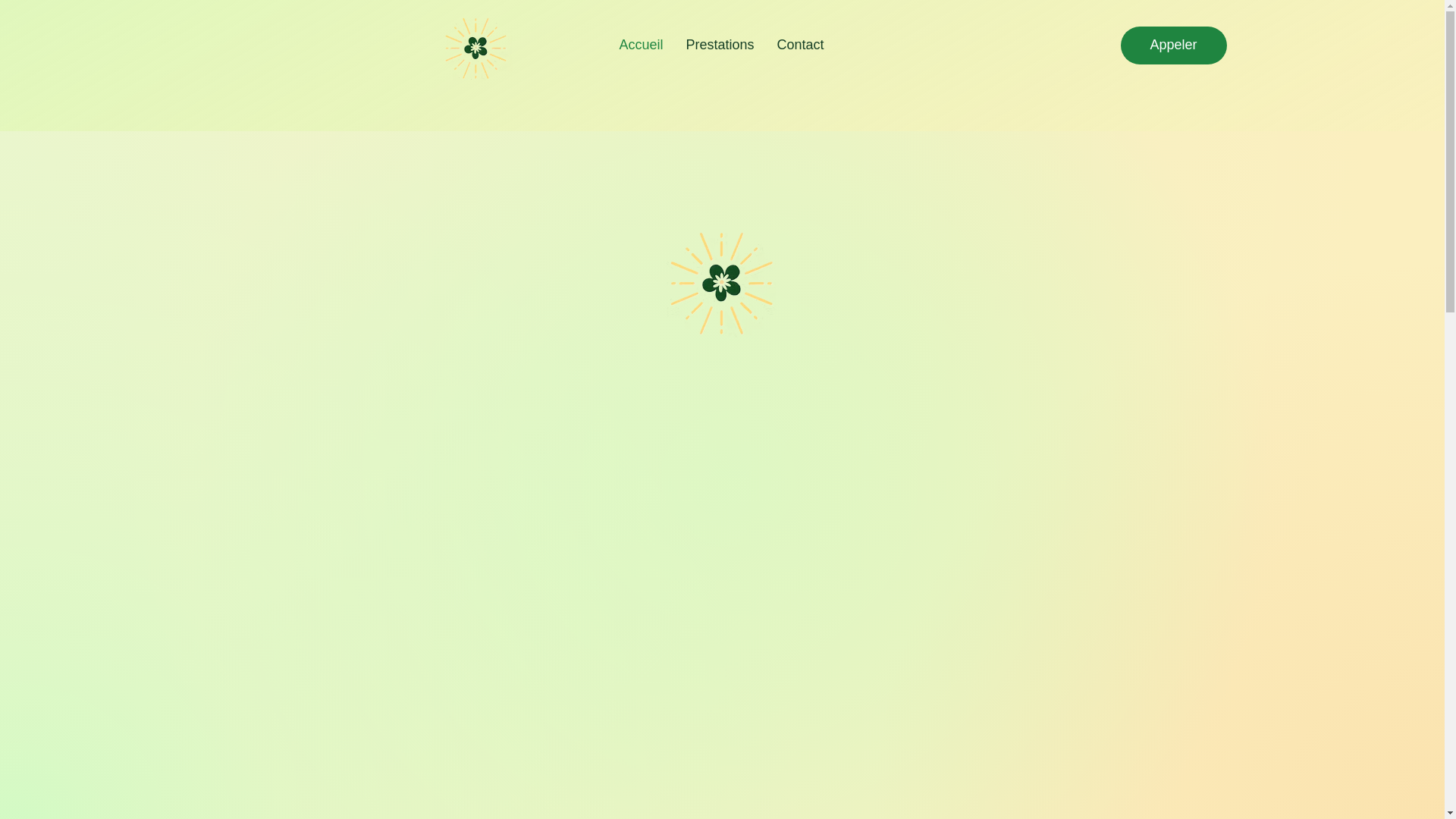 website screenshot of https://xn--lumiredusouvenir-wpb.com/