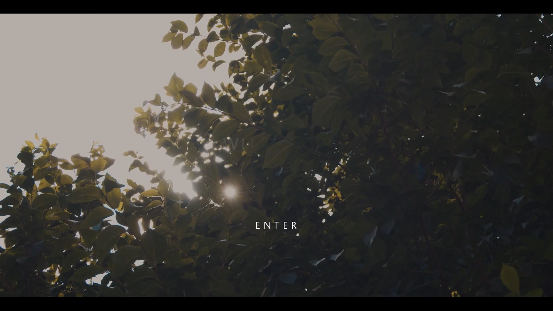 website screenshot of https://nine-elms.pages.dev/