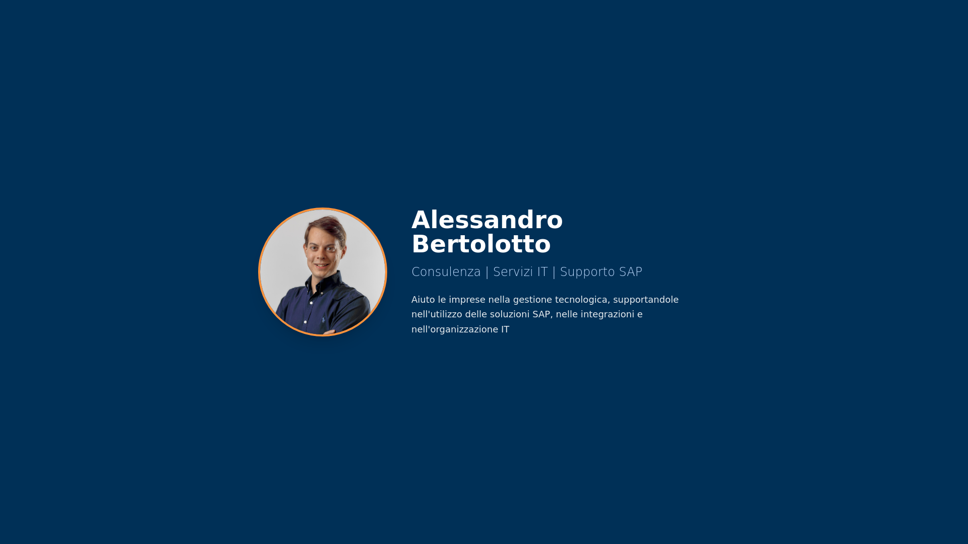 website screenshot of https://bertolottoconsulting.it