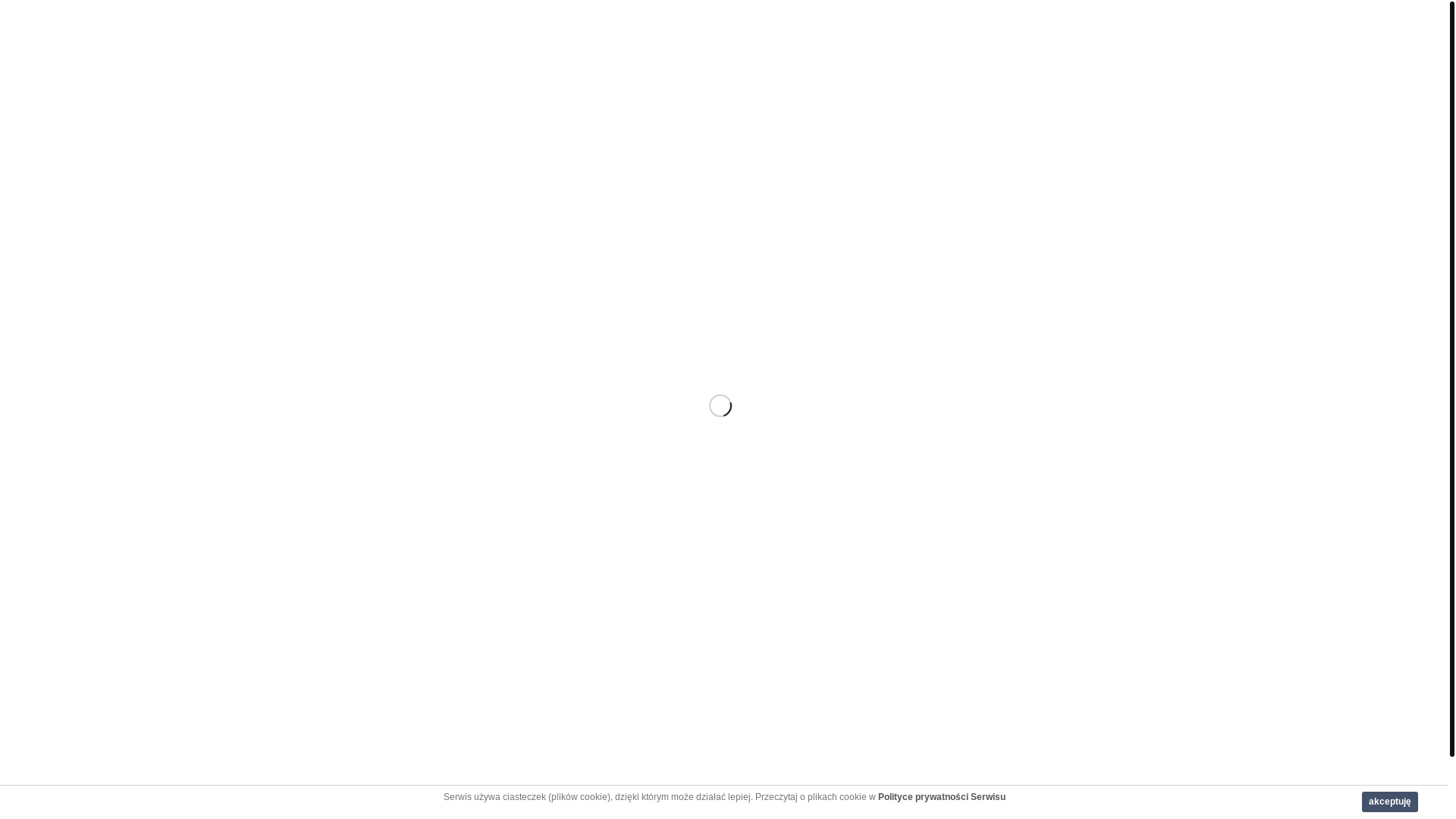 website screenshot of http://www.fundacja.bomis.pl/