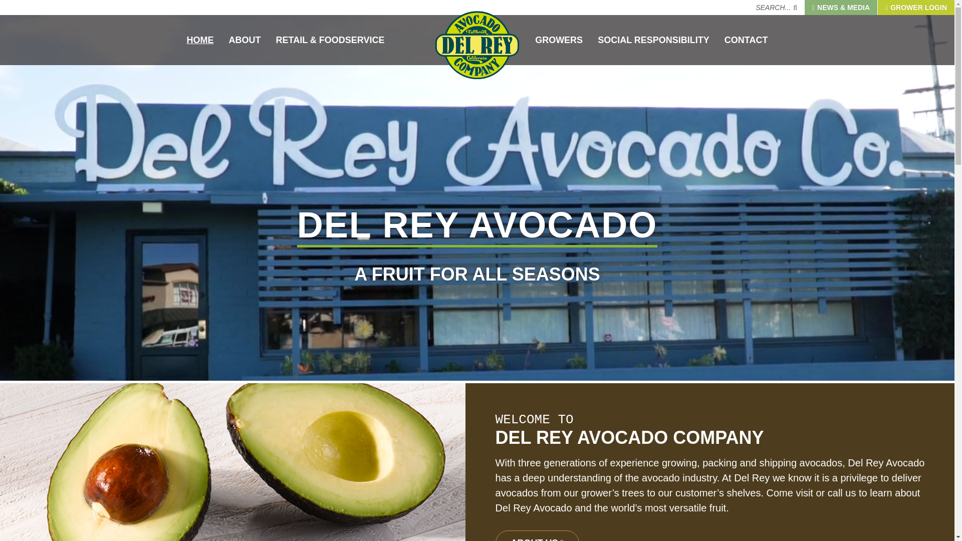 website screenshot of https://avocadodelrey.org/