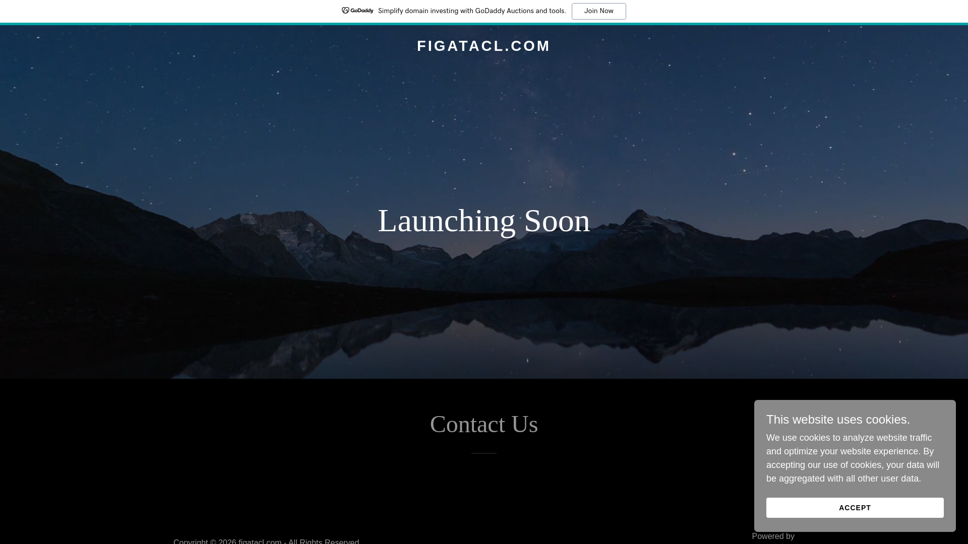 website screenshot of https://figatacl.com/