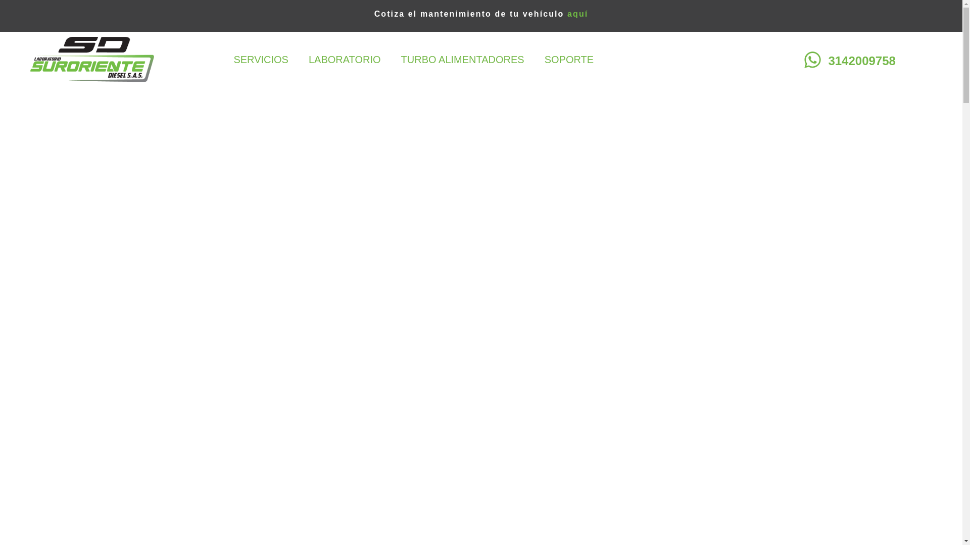 website screenshot of https://surorientediesel.com/