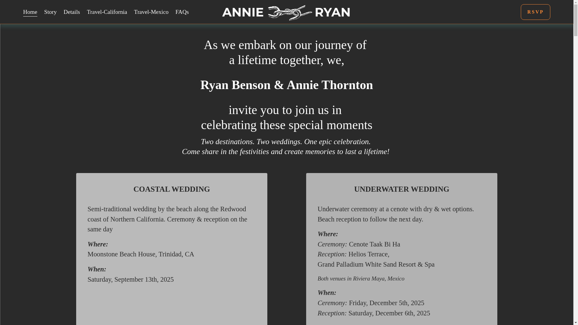 website screenshot of https://annie-ryan-wedding.com/