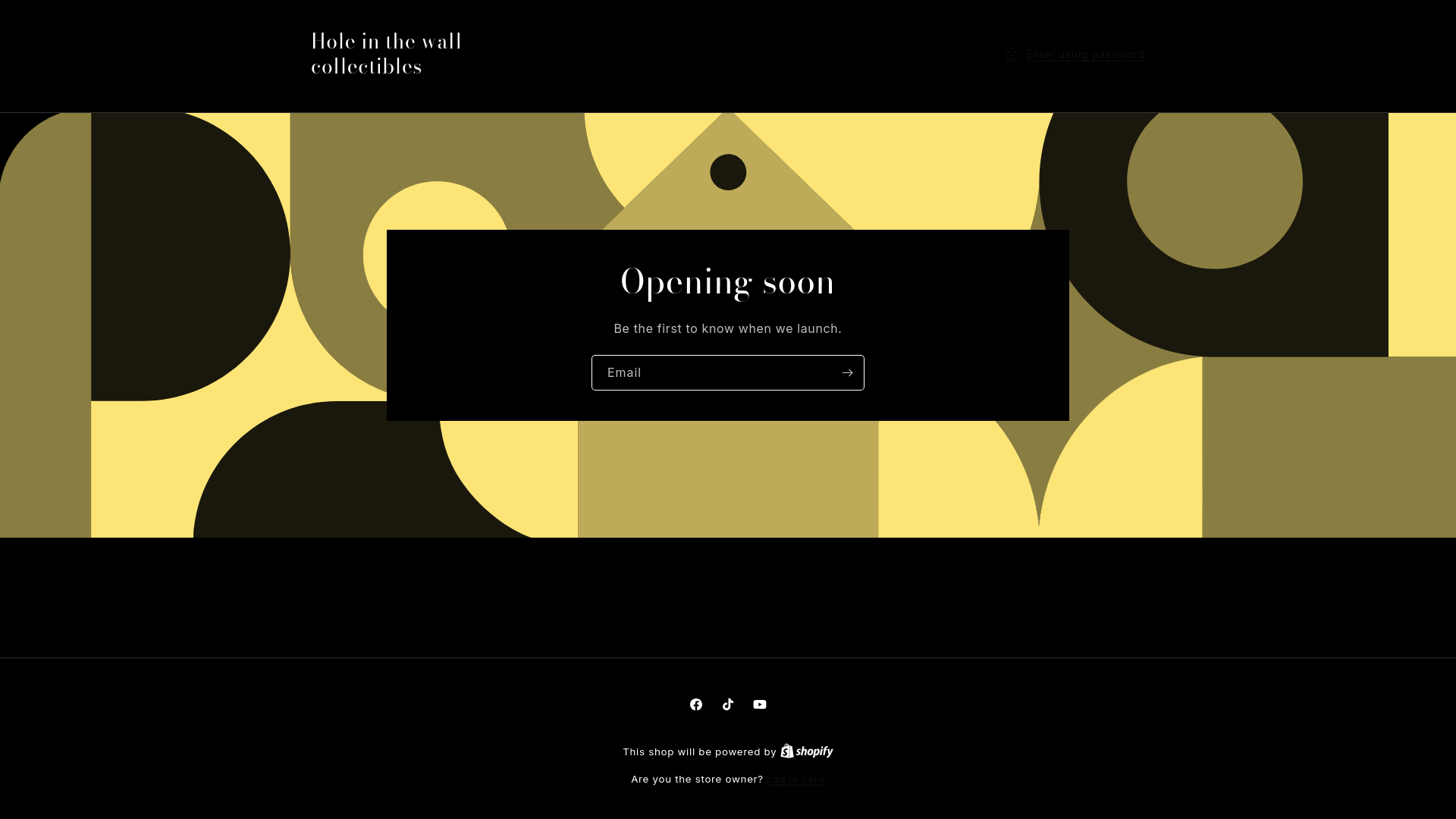 website screenshot of https://holeinthewallcollectibles.com