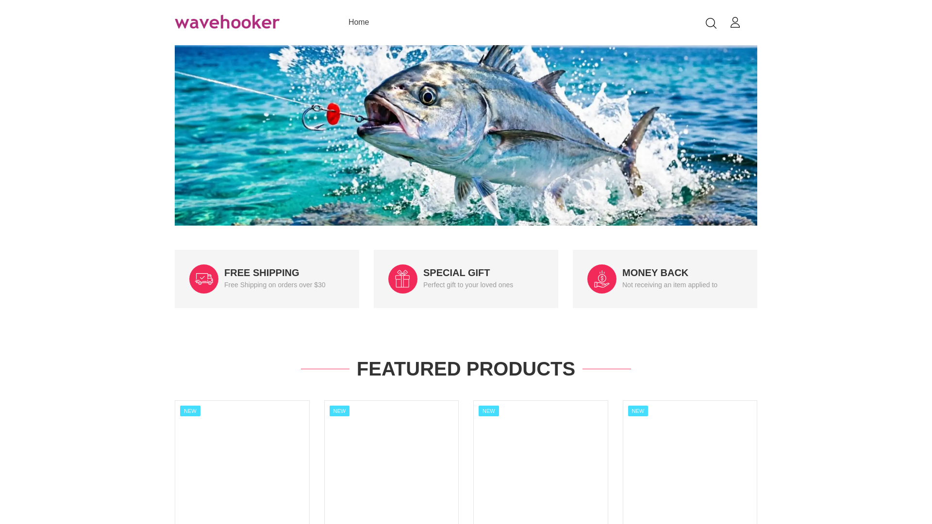 website screenshot of https://wavehooker.com/