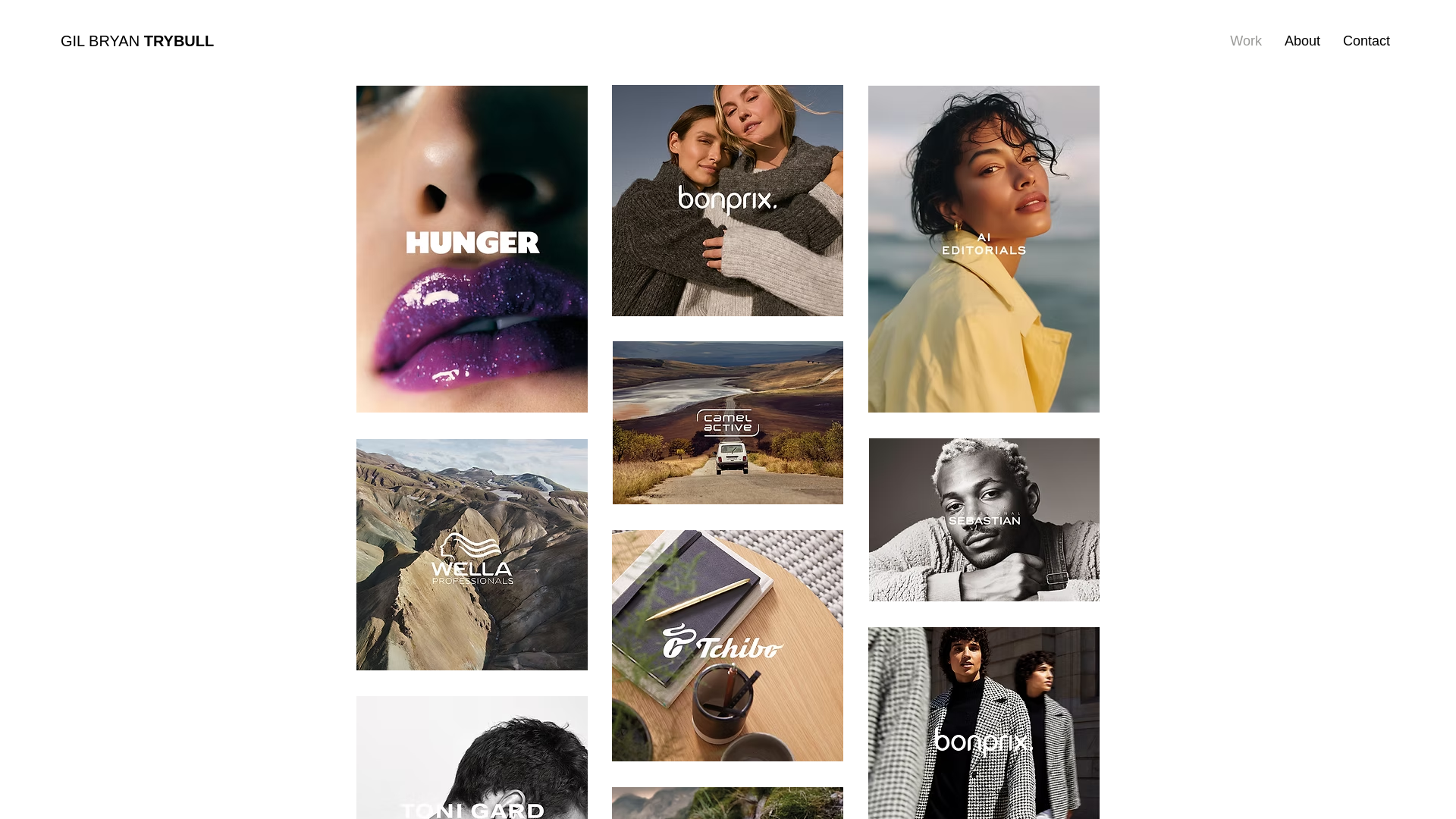 website screenshot of https://gilbryantrybull.com/