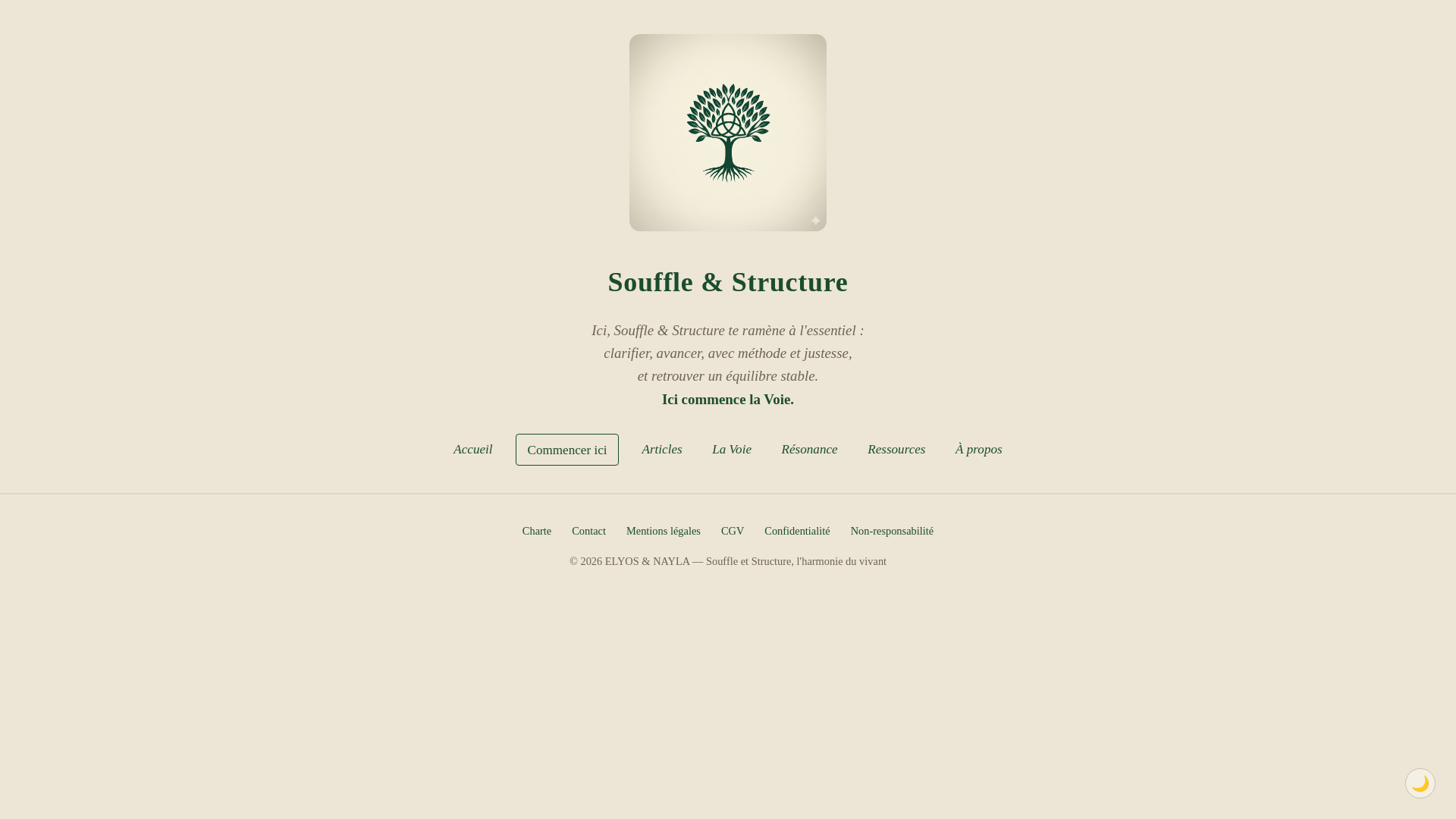 website screenshot of https://souffleetstructure.pages.dev/