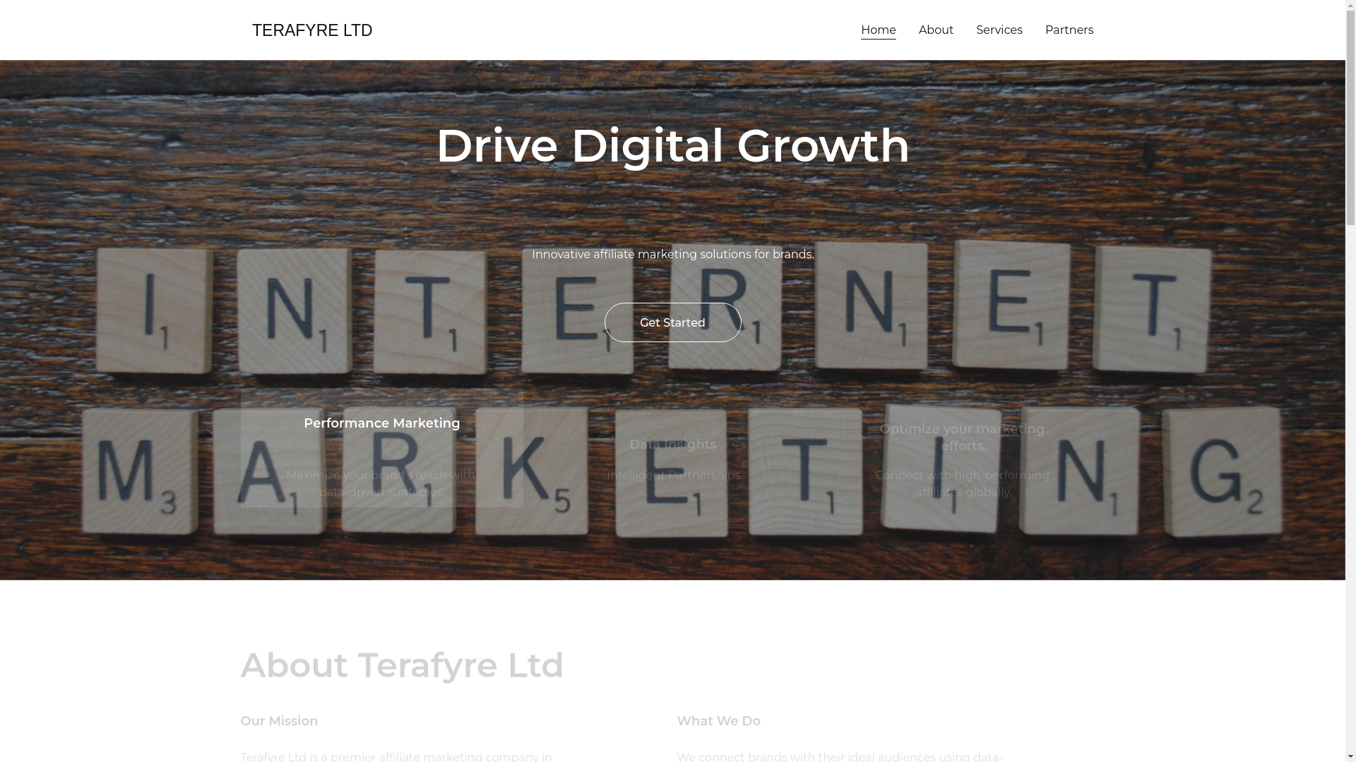 website screenshot of https://terafyre.com/